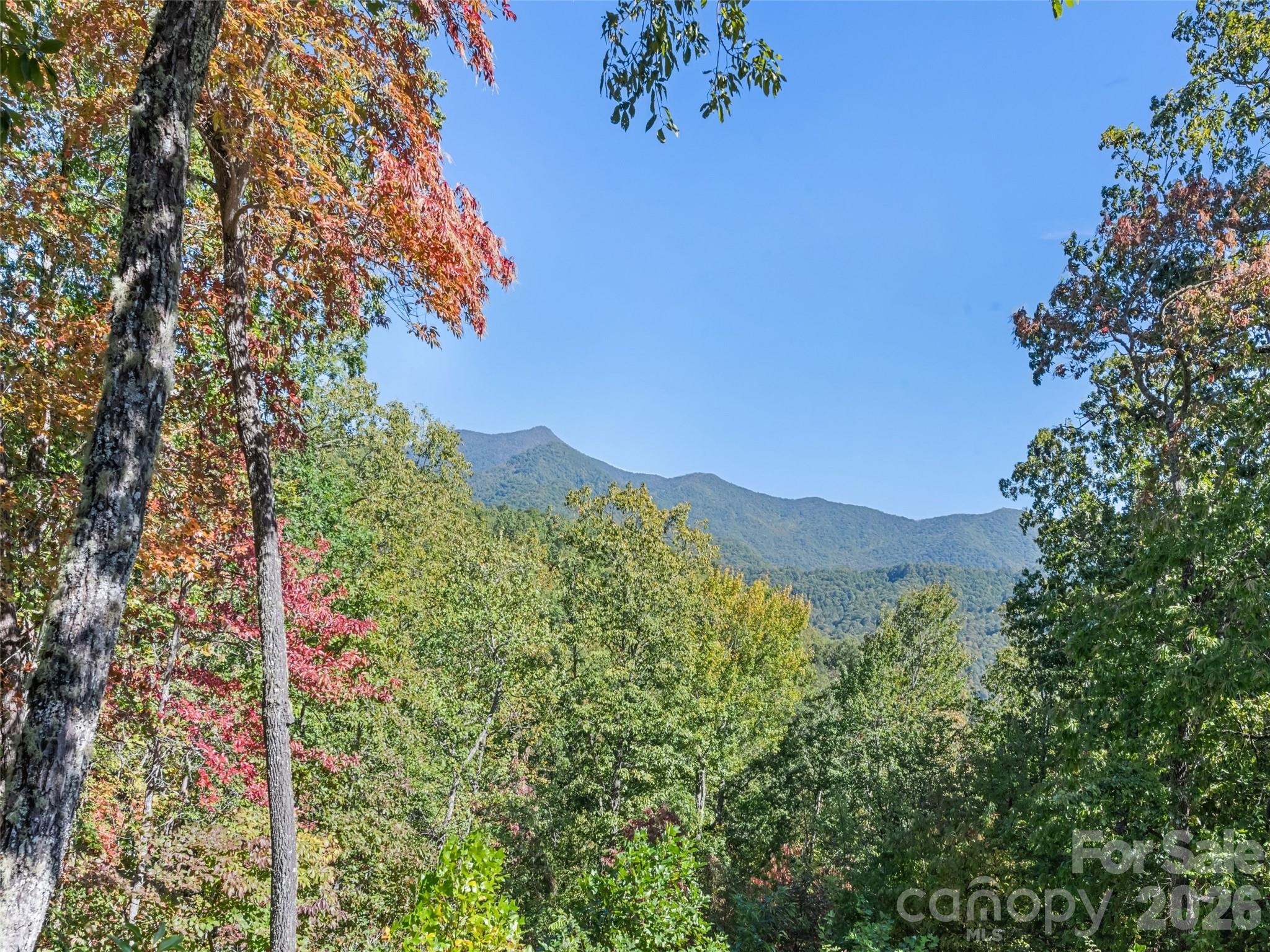 1635 Quest Ridge Property Photo 46