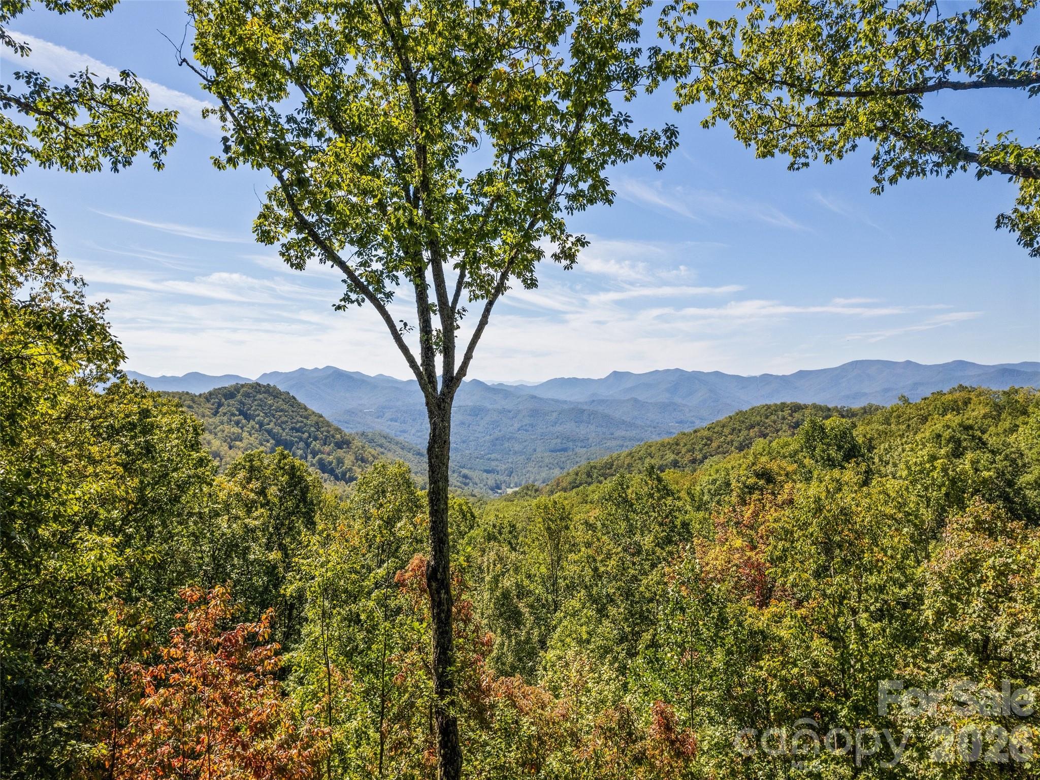 1635 Quest Ridge Property Photo 47