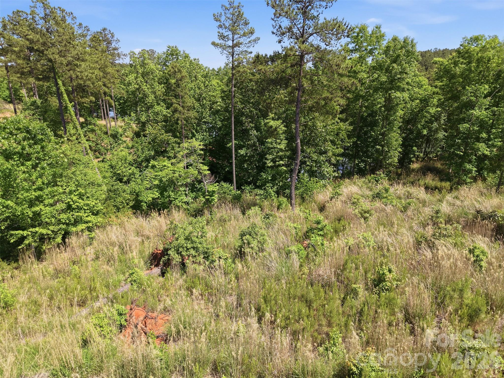 2326 Princeton Mountain 69 Property Photo 5