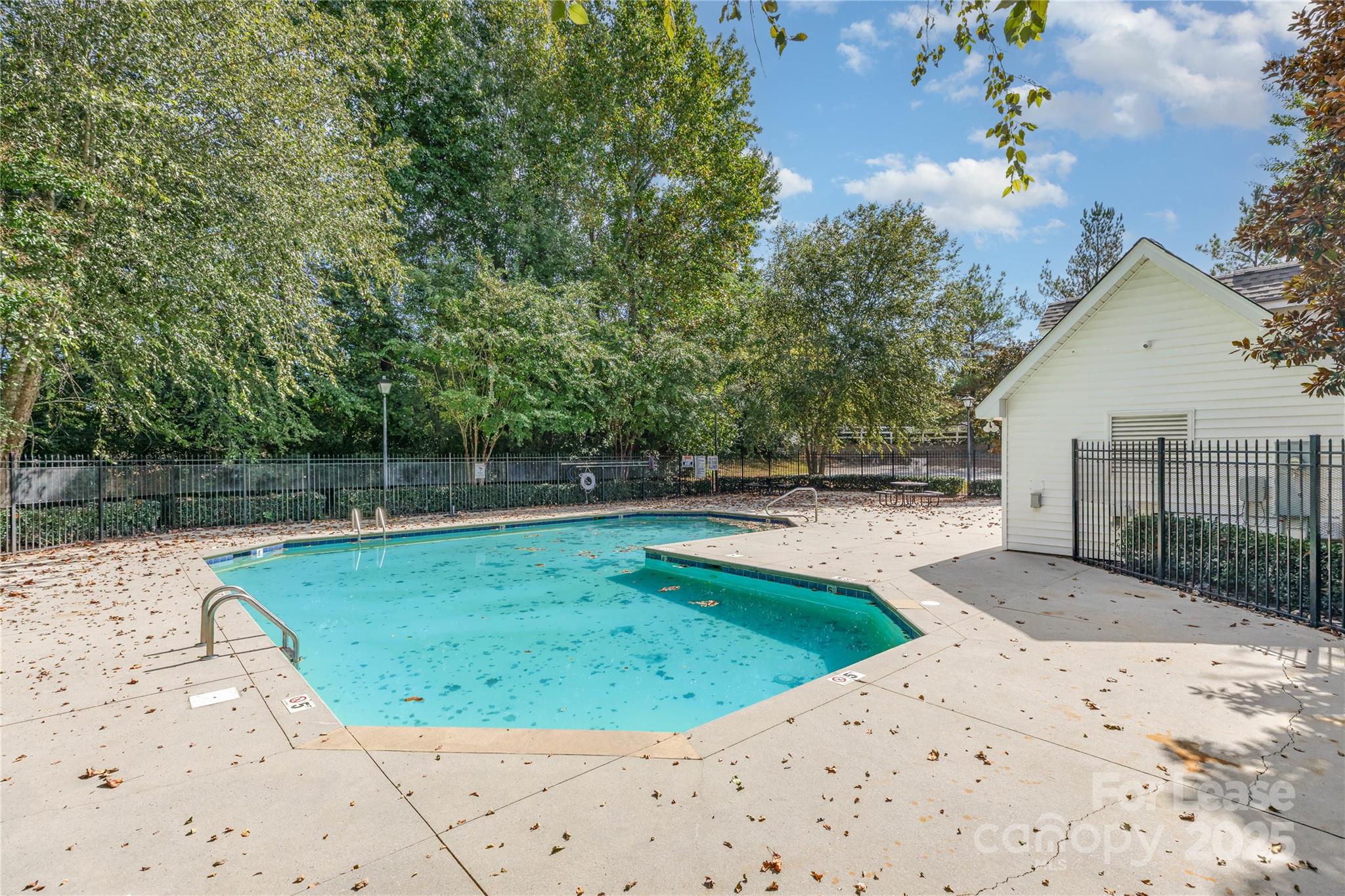 205 Limerick Road D Property Photo 19