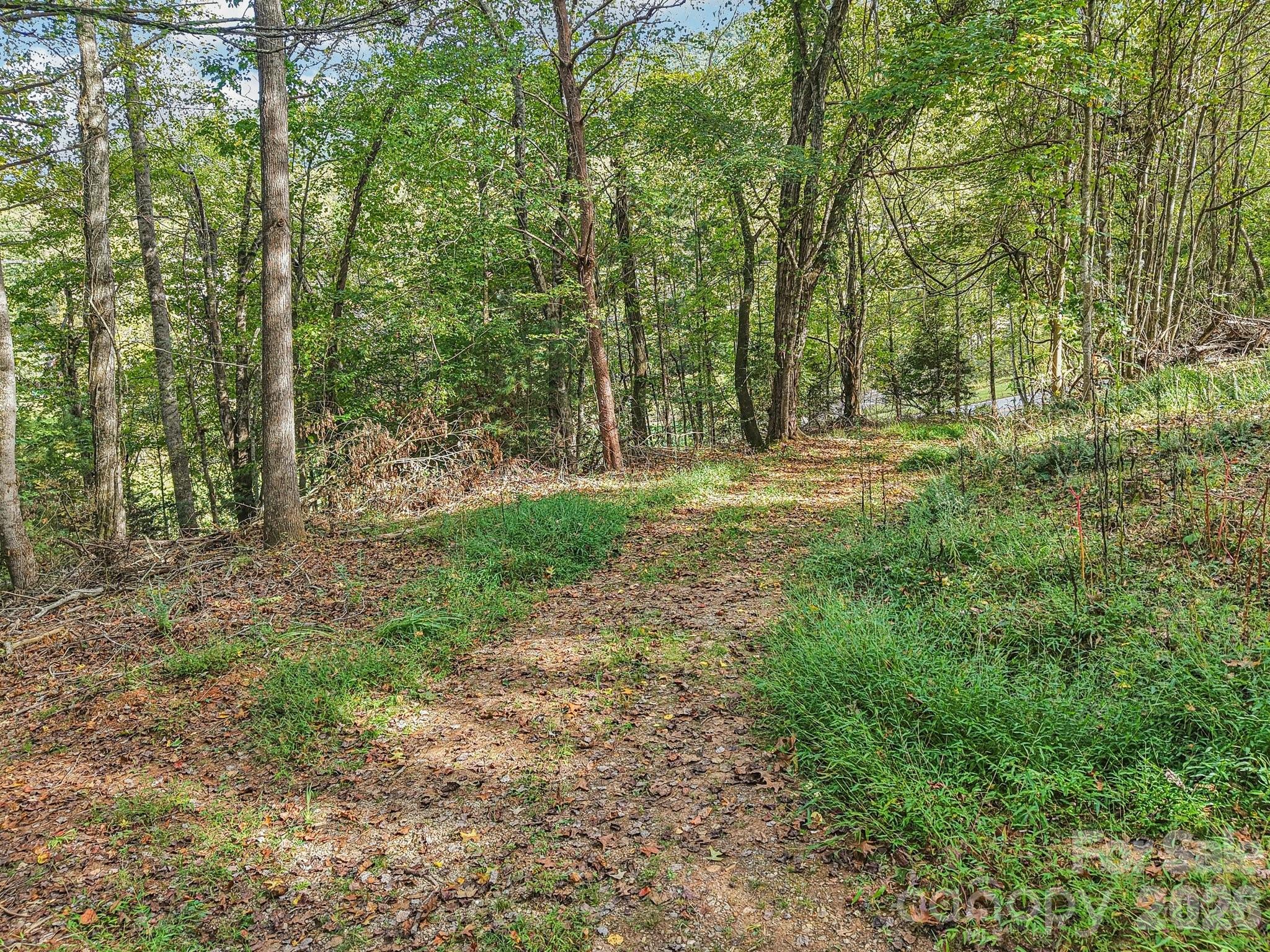 Tbd Upper Glady Fork Road Property Photo 3