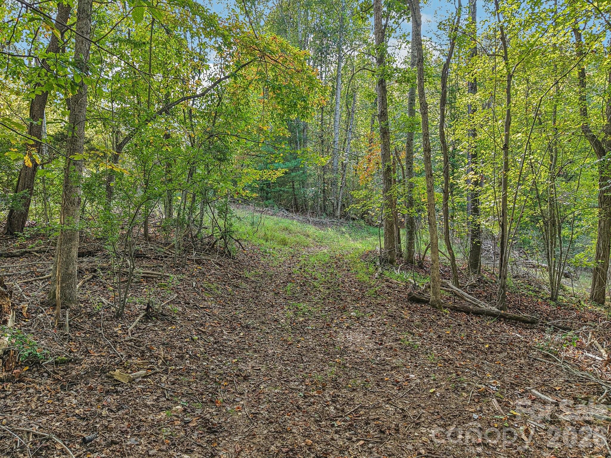 Tbd Upper Glady Fork Road Property Photo 4