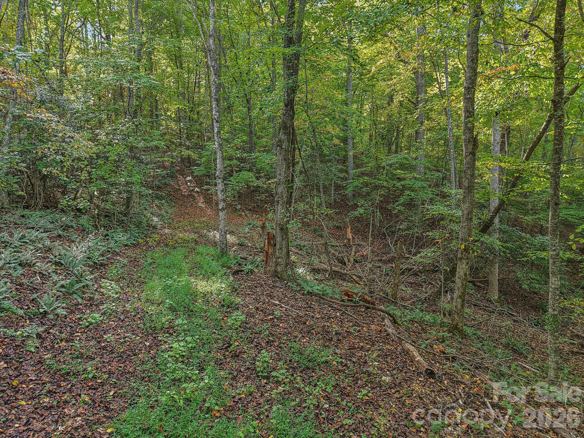 Tbd Upper Glady Fork Road Property Photo 5
