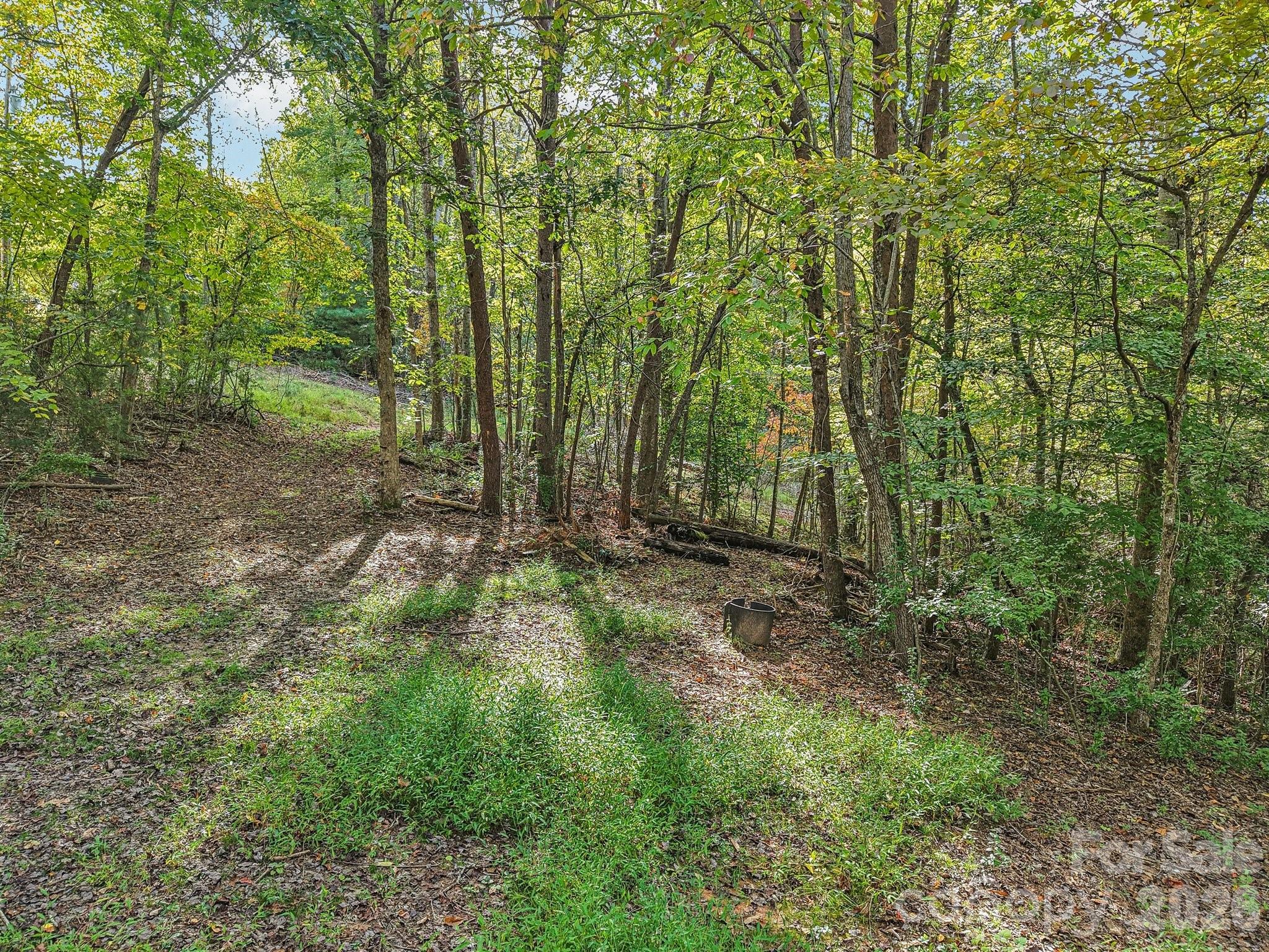 Tbd Upper Glady Fork Road Property Photo 7