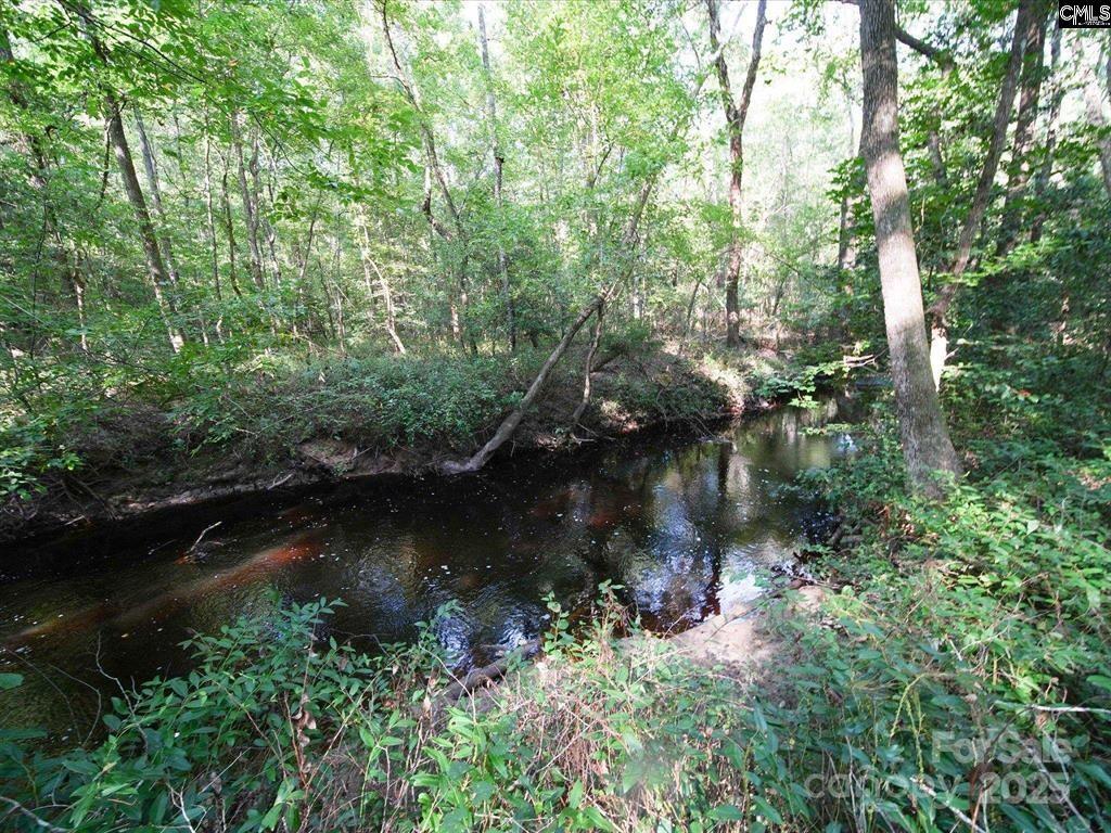 1239 John G Richards Road Property Photo 2
