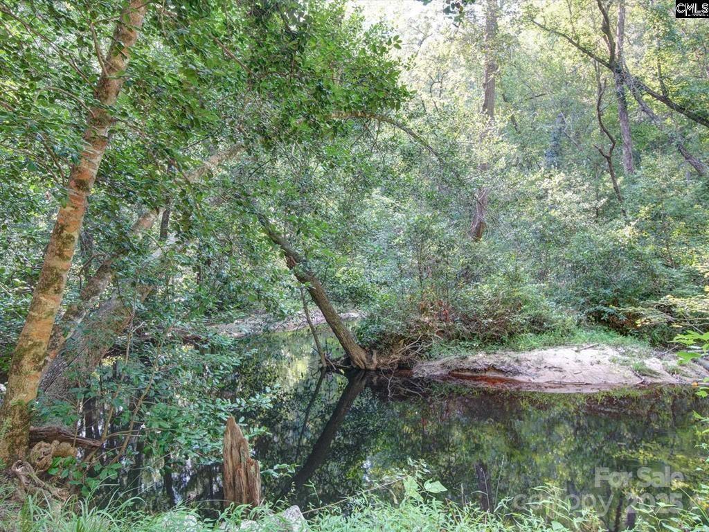 1239 John G Richards Road Property Photo 3
