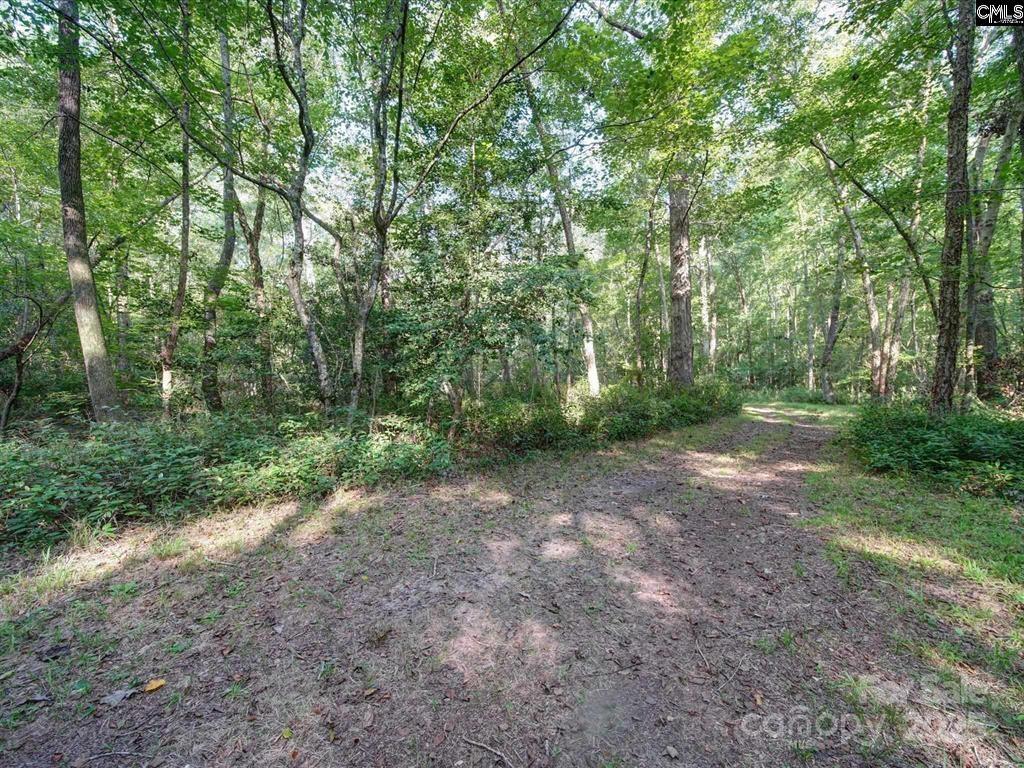 1239 John G Richards Road Property Photo 10