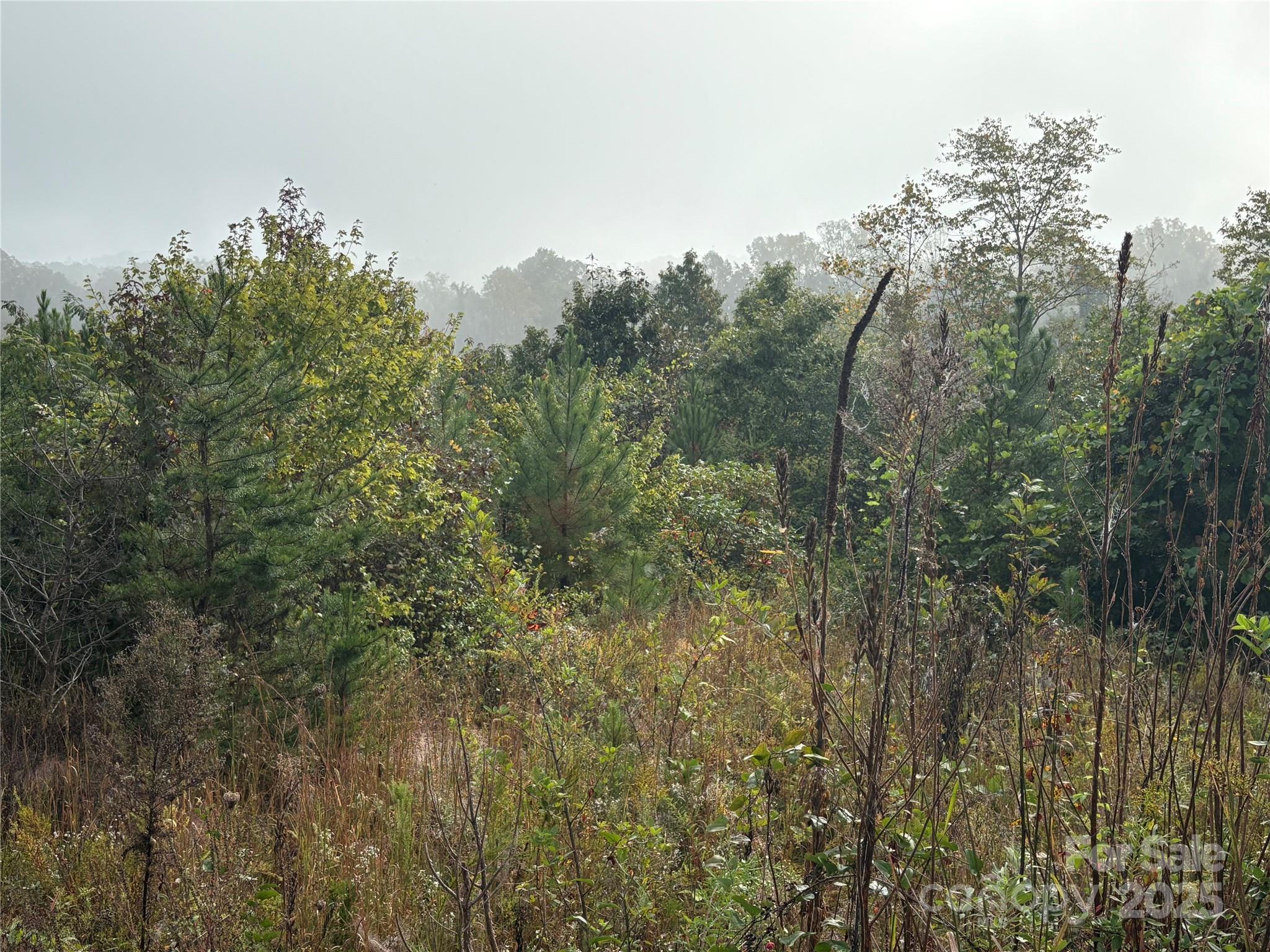 0 Hopewell Road Property Photo 1