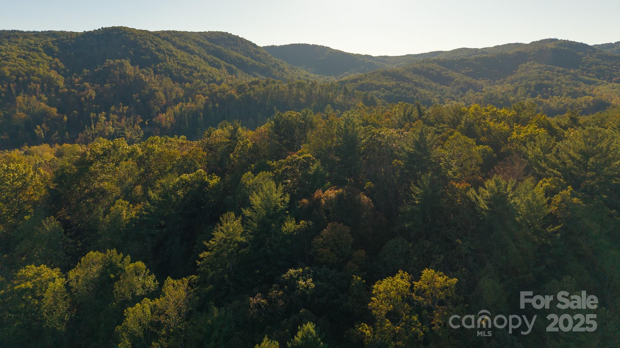 00 Shell Creek Road Property Photo 9