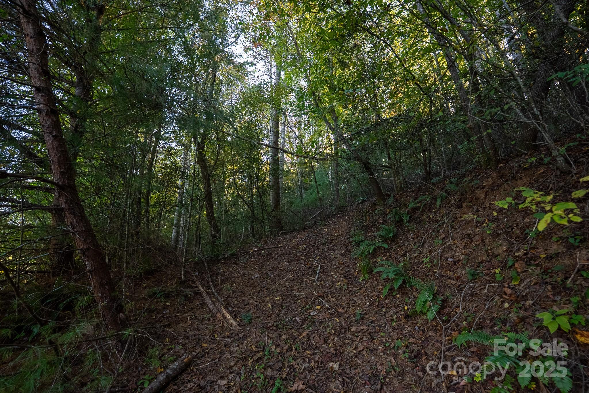 00 Shell Creek Road Property Photo 17
