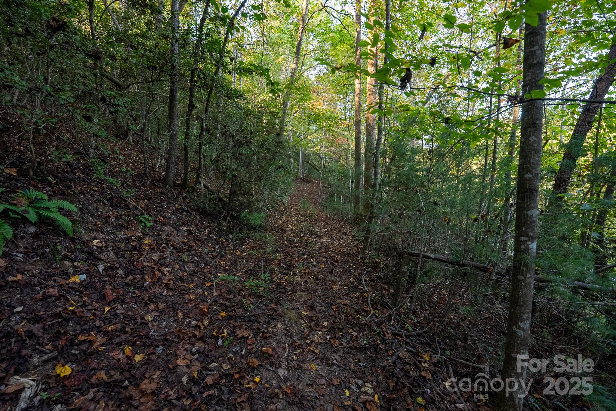 00 Shell Creek Road Property Photo 18