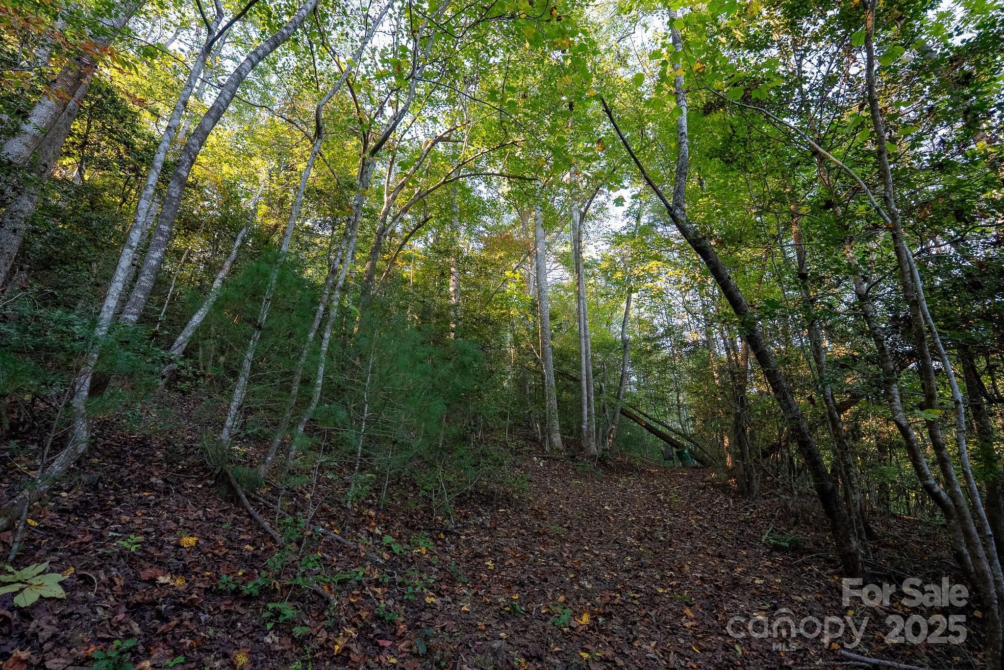 00 Shell Creek Road Property Photo 19