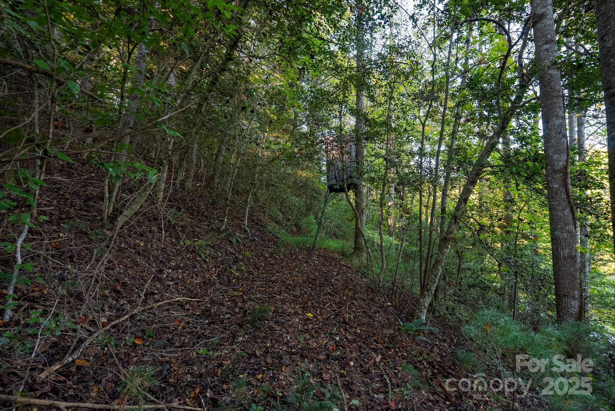 00 Shell Creek Road Property Photo 20