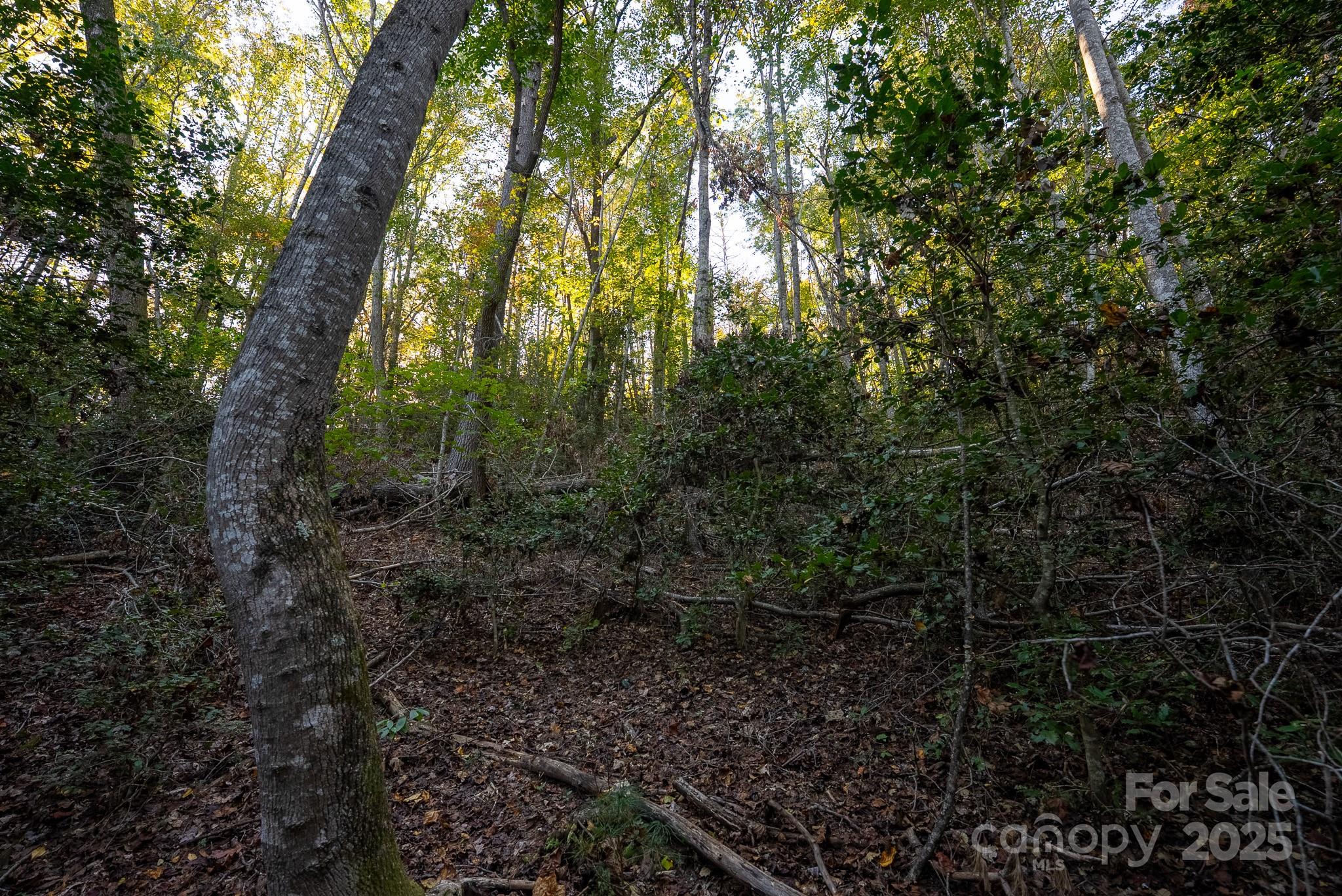 00 Shell Creek Road Property Photo 22
