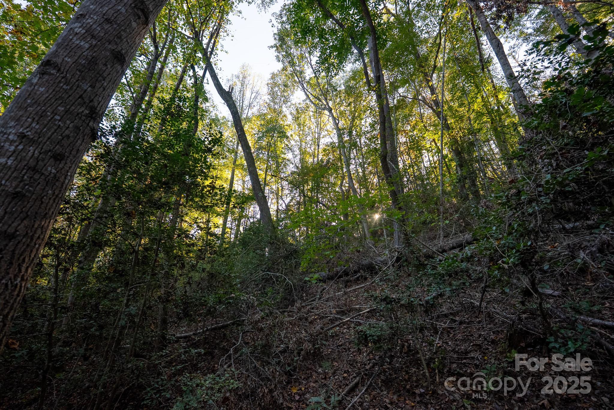00 Shell Creek Road Property Photo 23