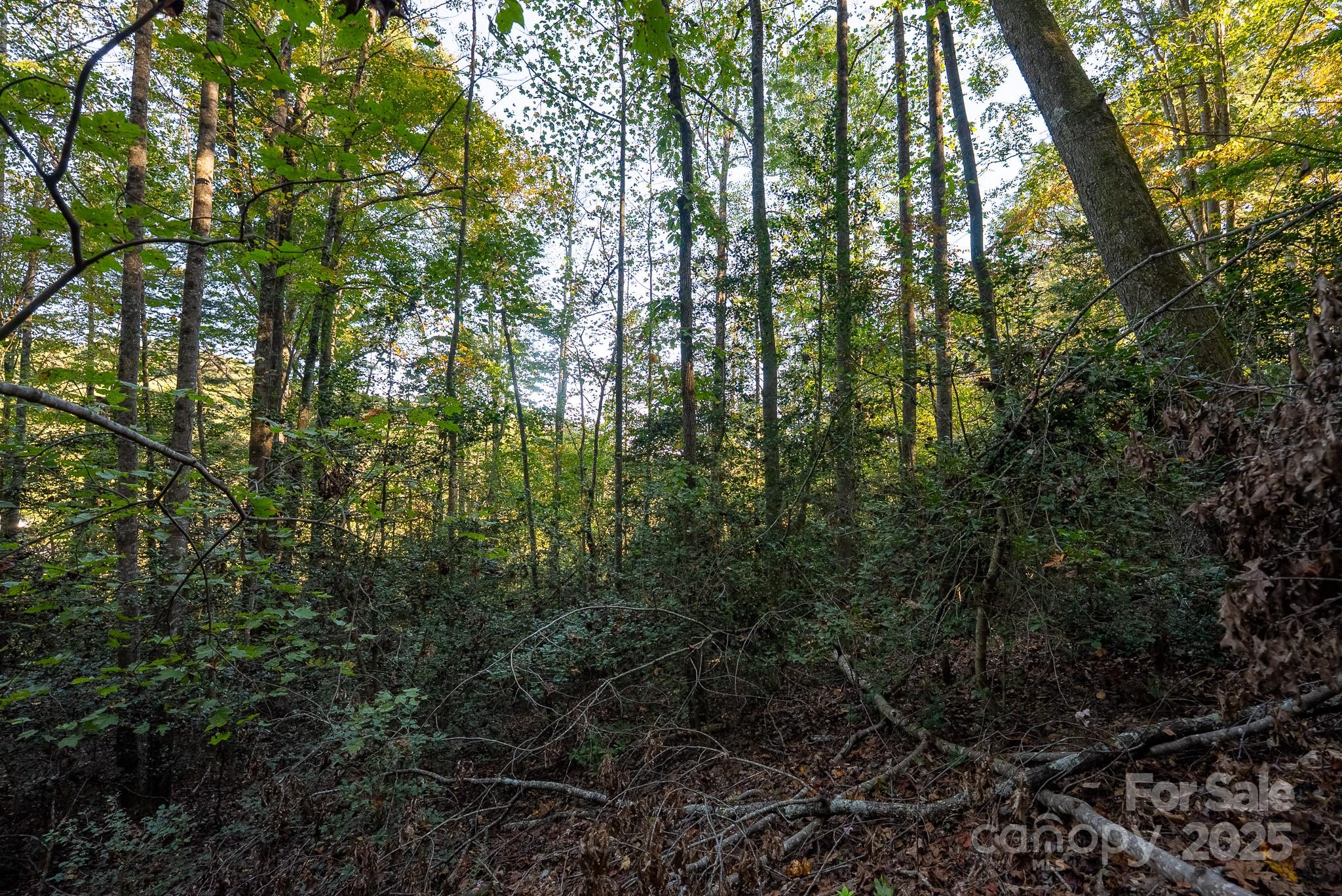 00 Shell Creek Road Property Photo 25