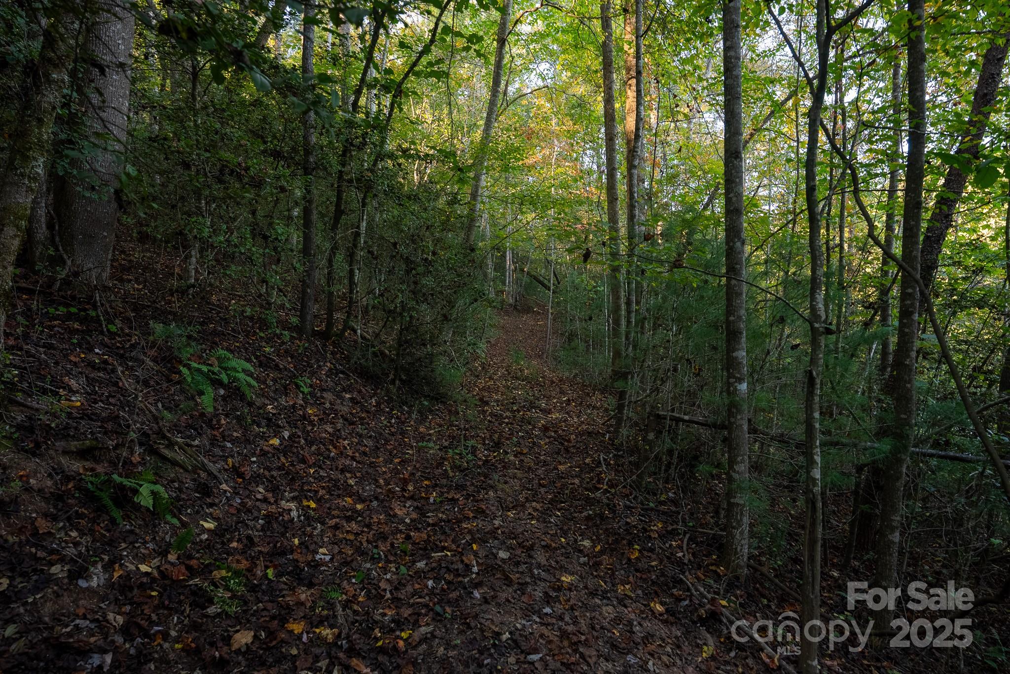 00 Shell Creek Road Property Photo 27