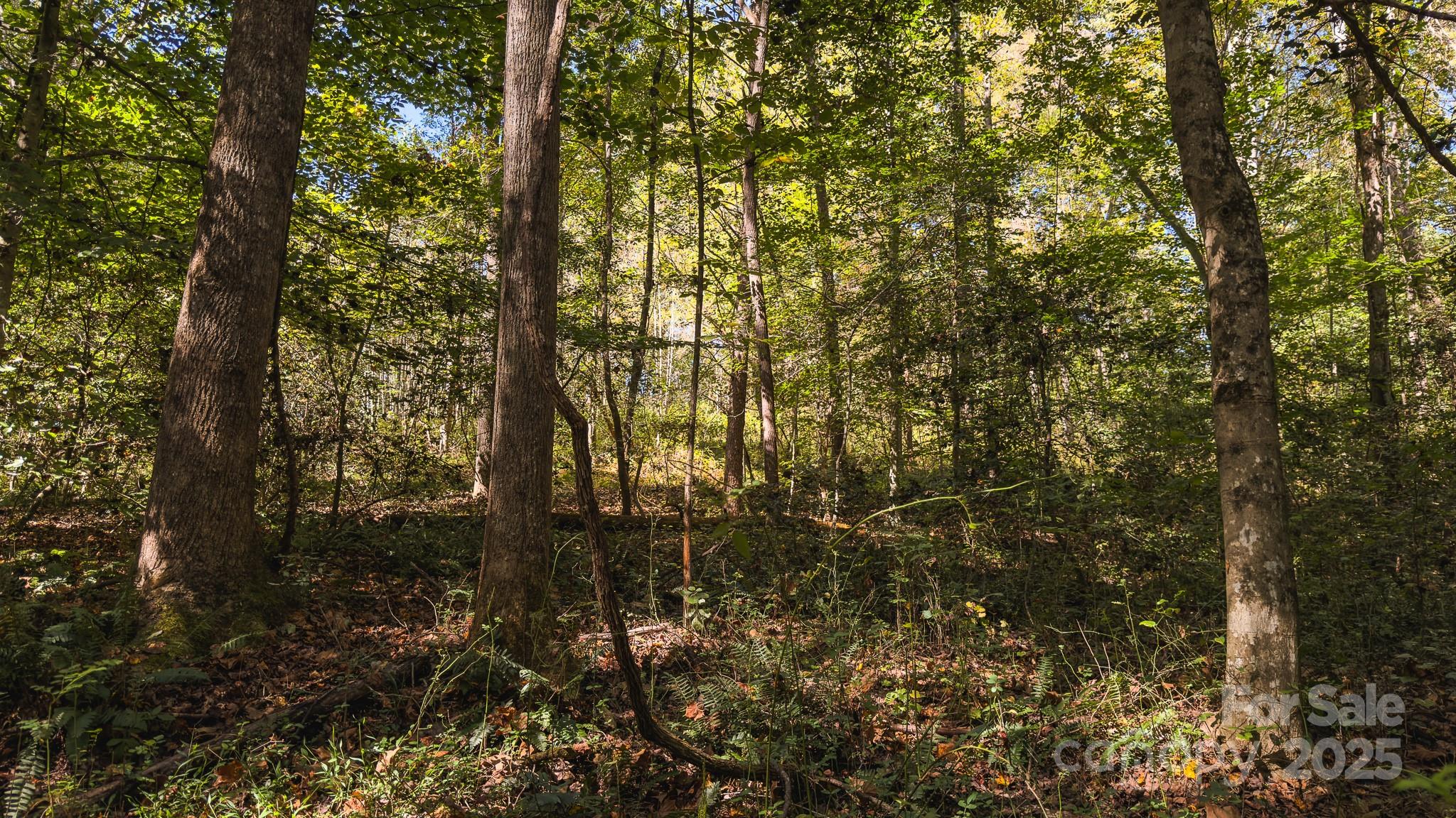 00 Shell Creek Road Property Photo 28