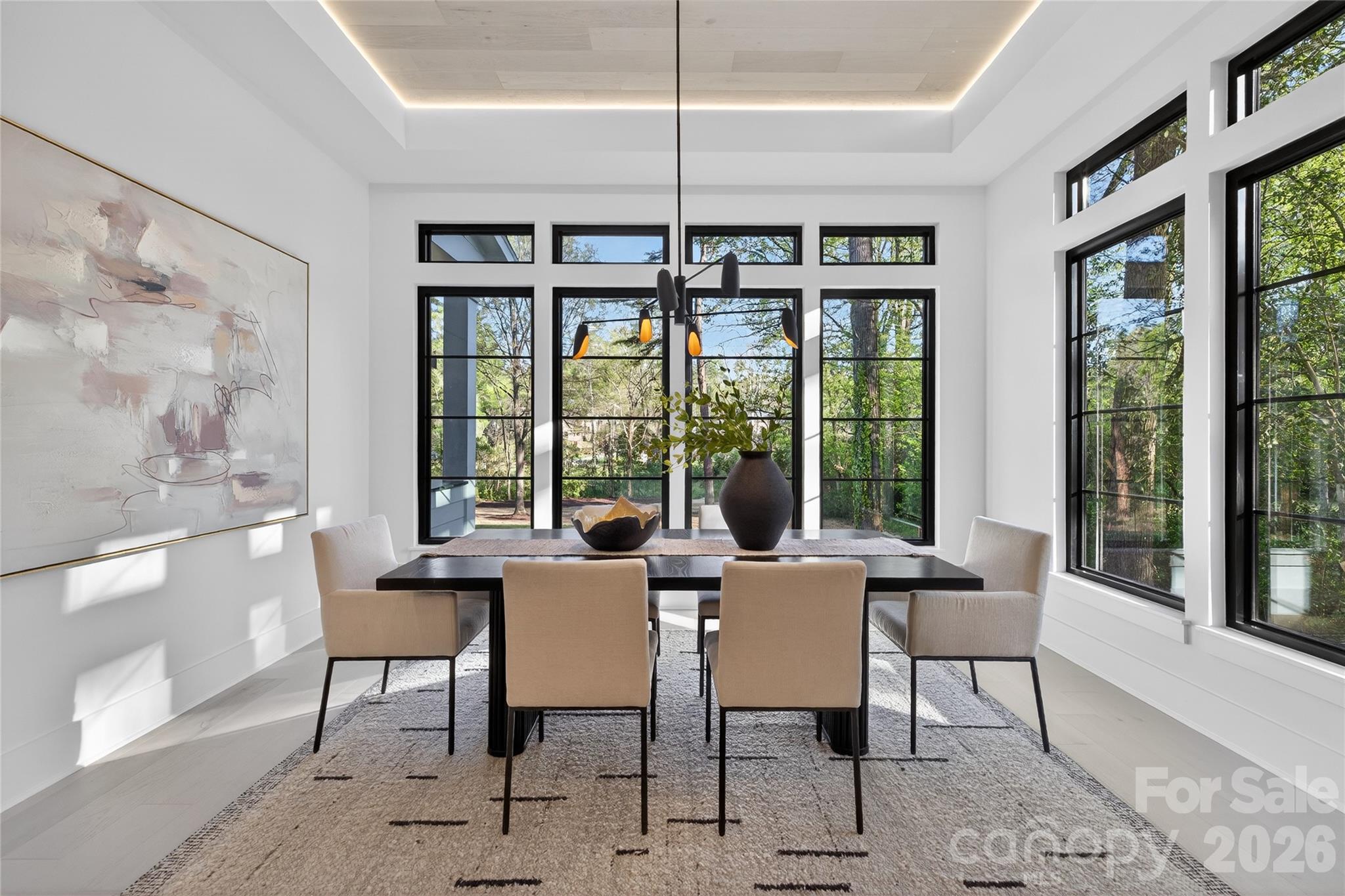 1209 Meadowood Lane Property Photo 19