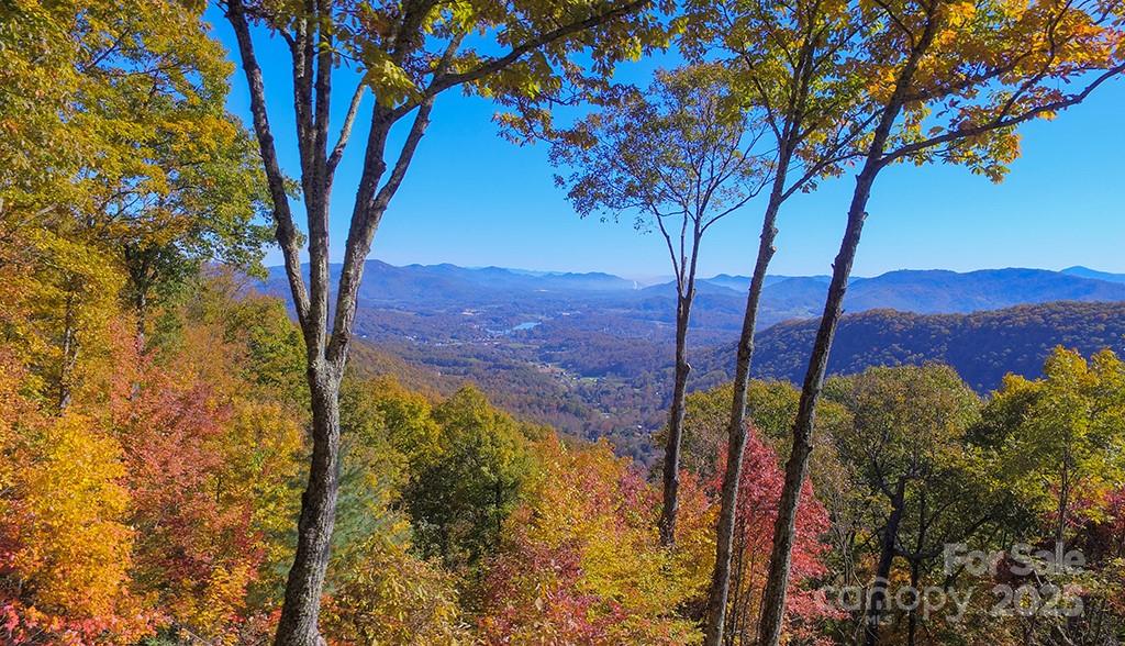 382 Walela Trail Property Photo 2