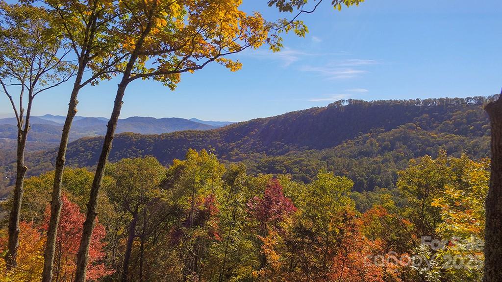 382 Walela Trail Property Photo 42