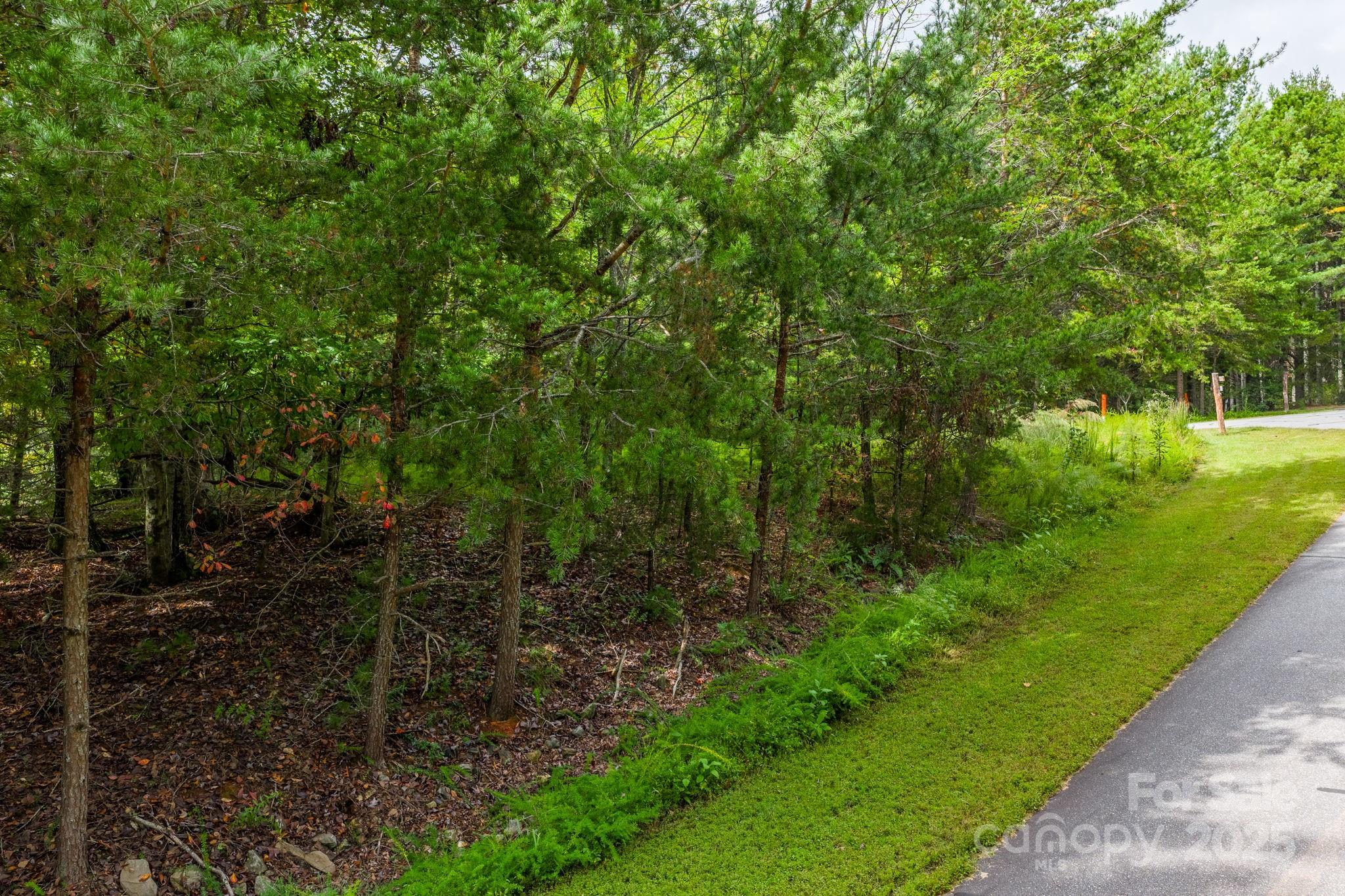 913 Bear Cliff Drive 24 Property Photo 15