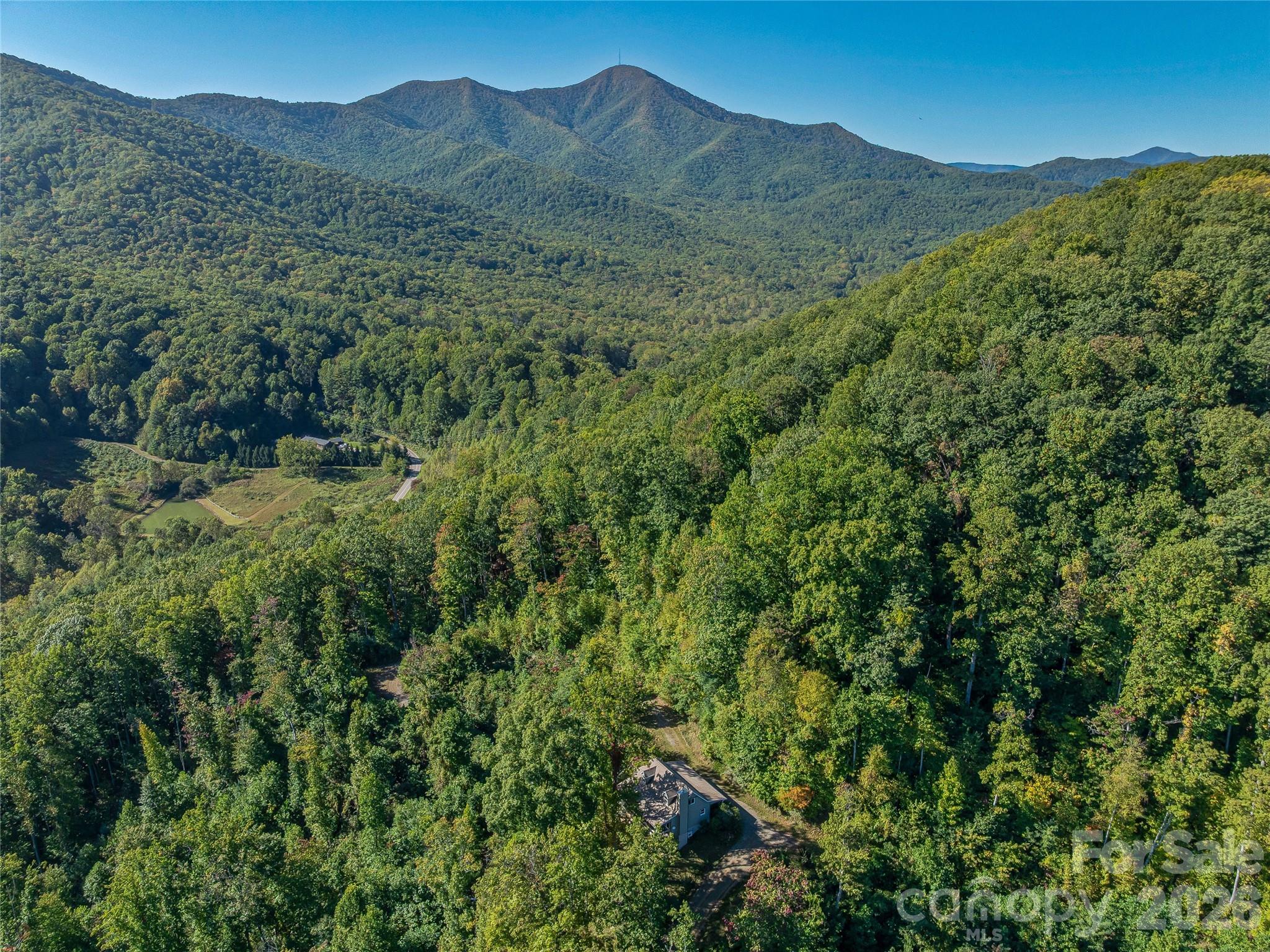 382 Black Oak Cove Road Property Photo 44