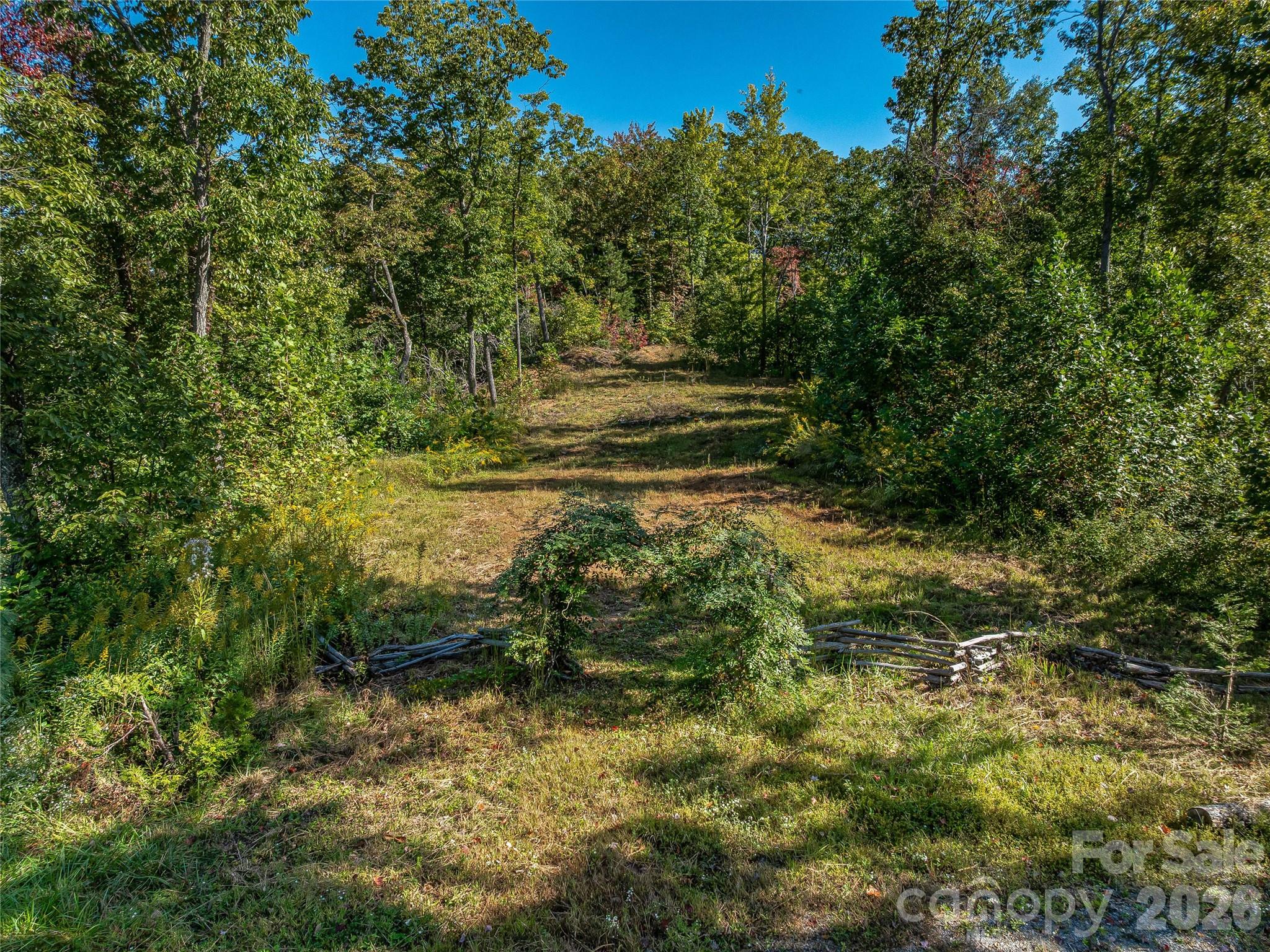 382 Black Oak Cove Road Property Photo 45