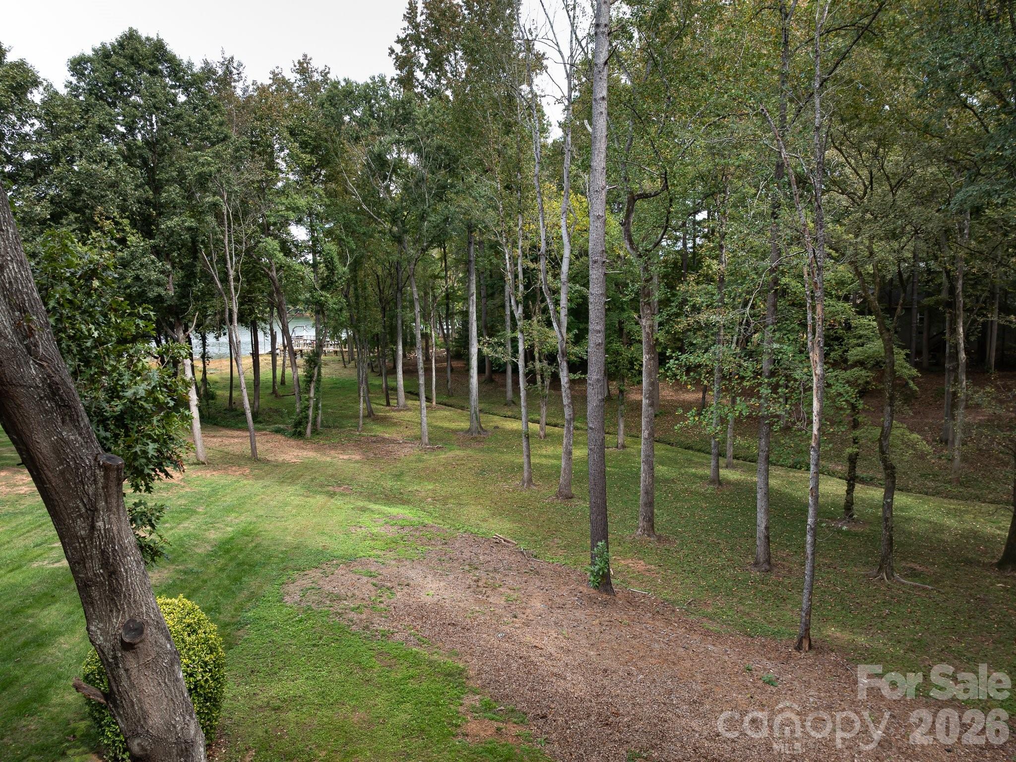 5619 Mountain Point Lane Property Photo 42