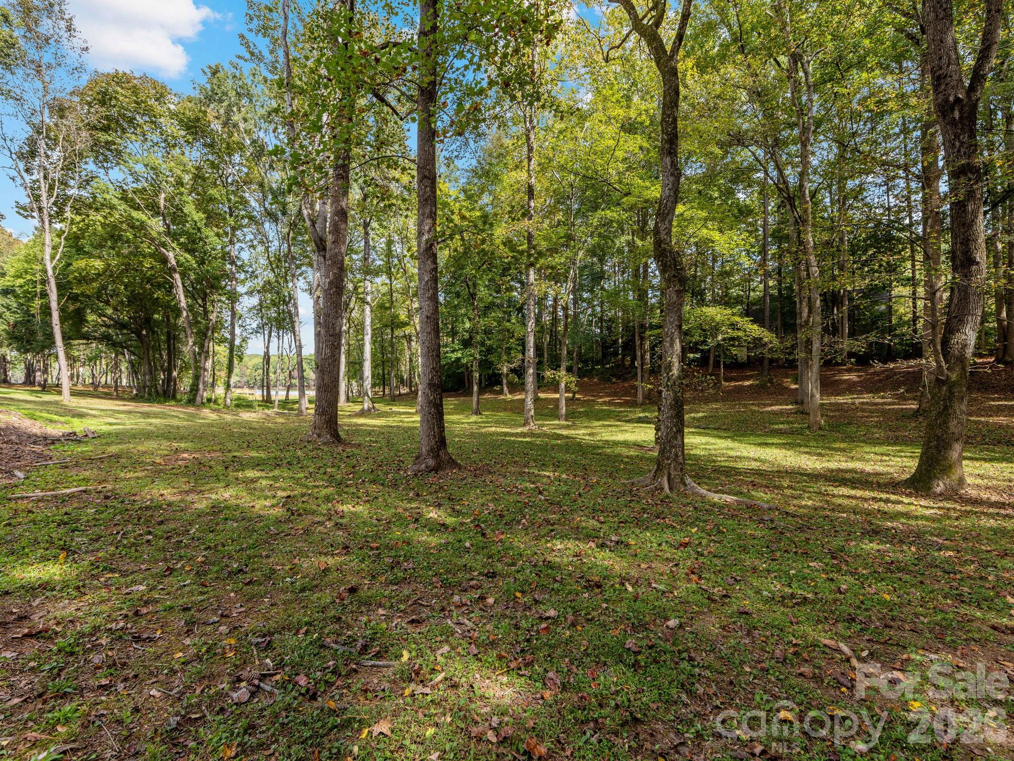 5619 Mountain Point Lane Property Photo 43