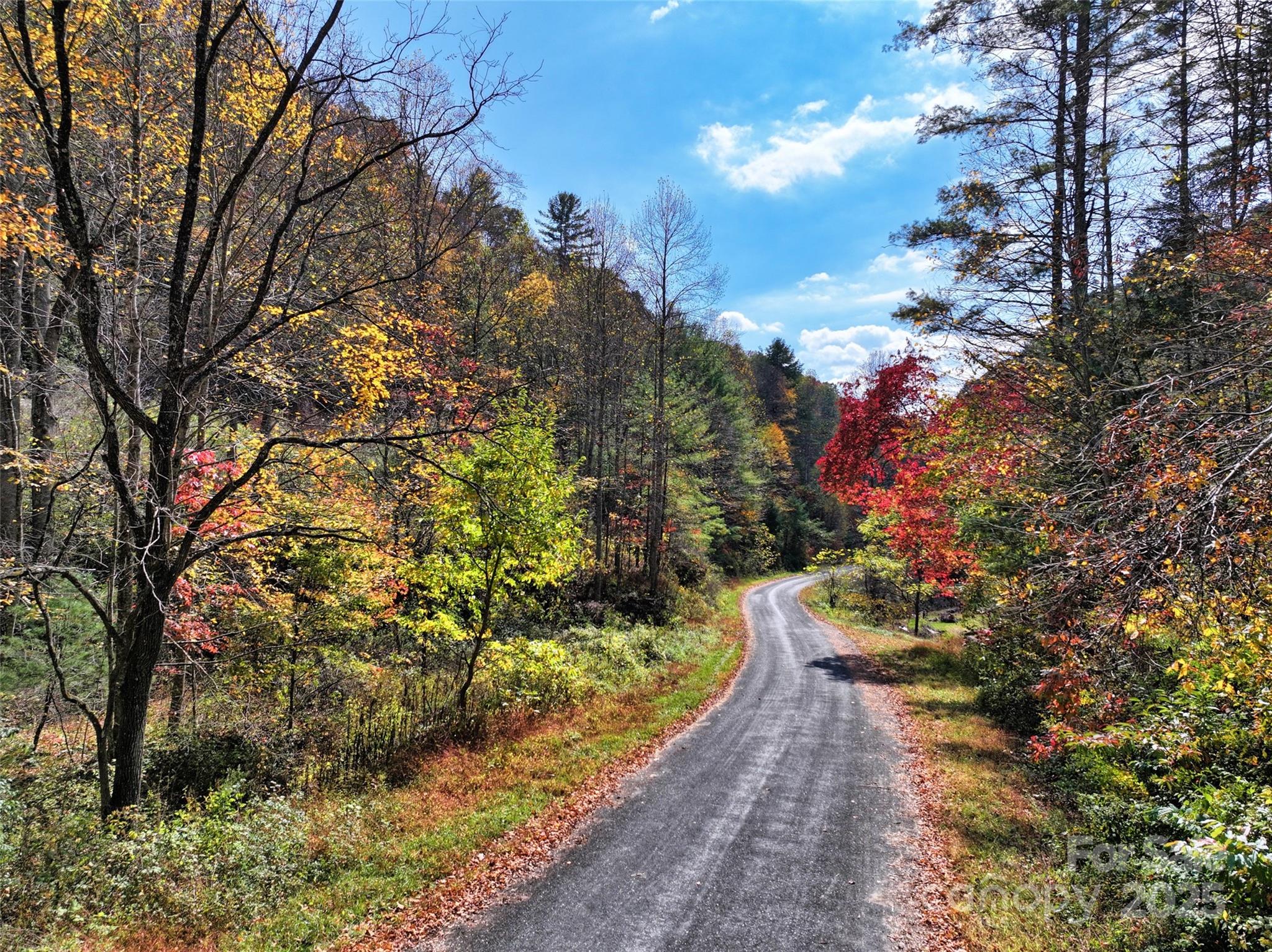 366 Renfro Road Property Photo 1