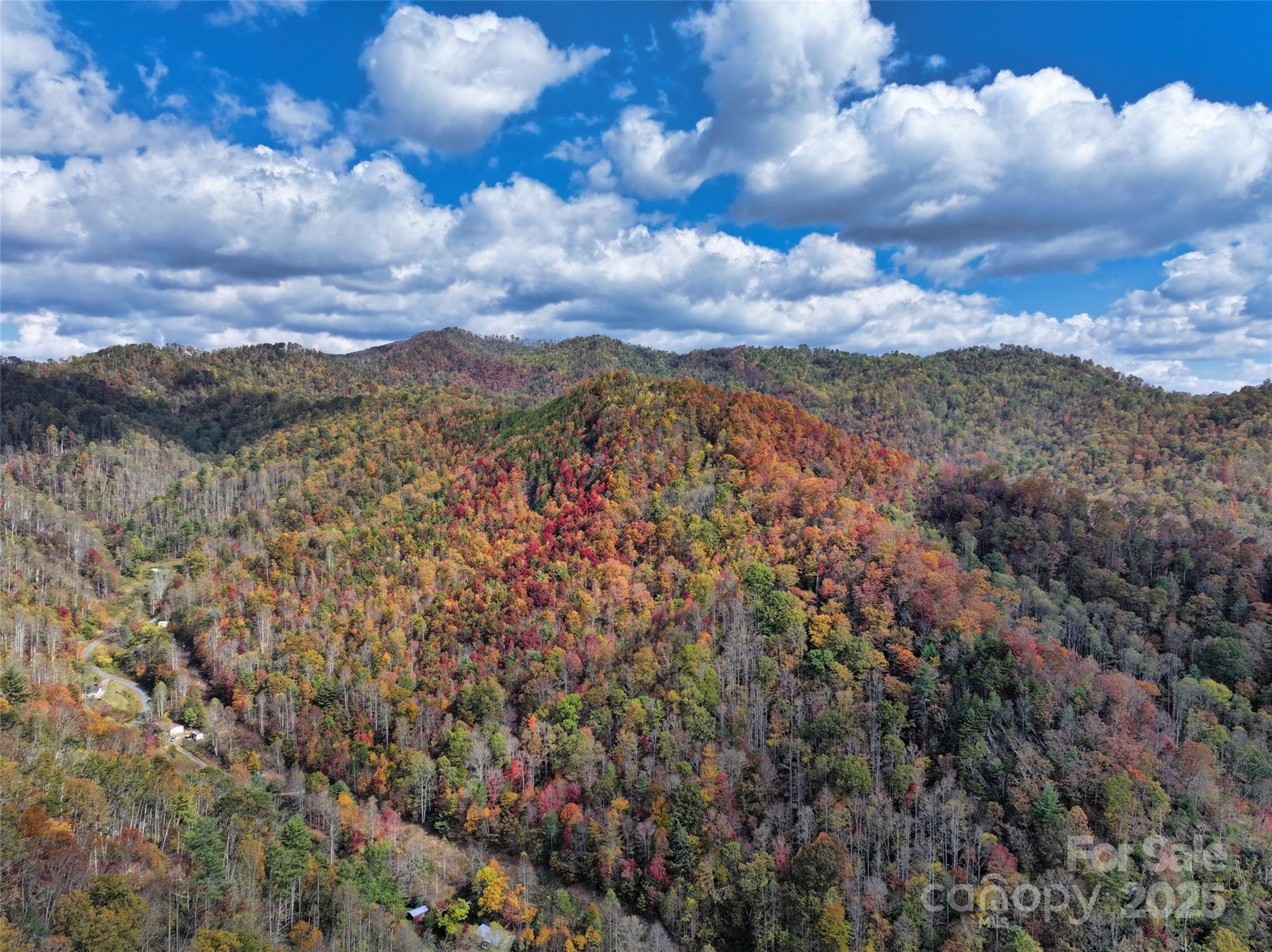 366 Renfro Road Property Photo 4