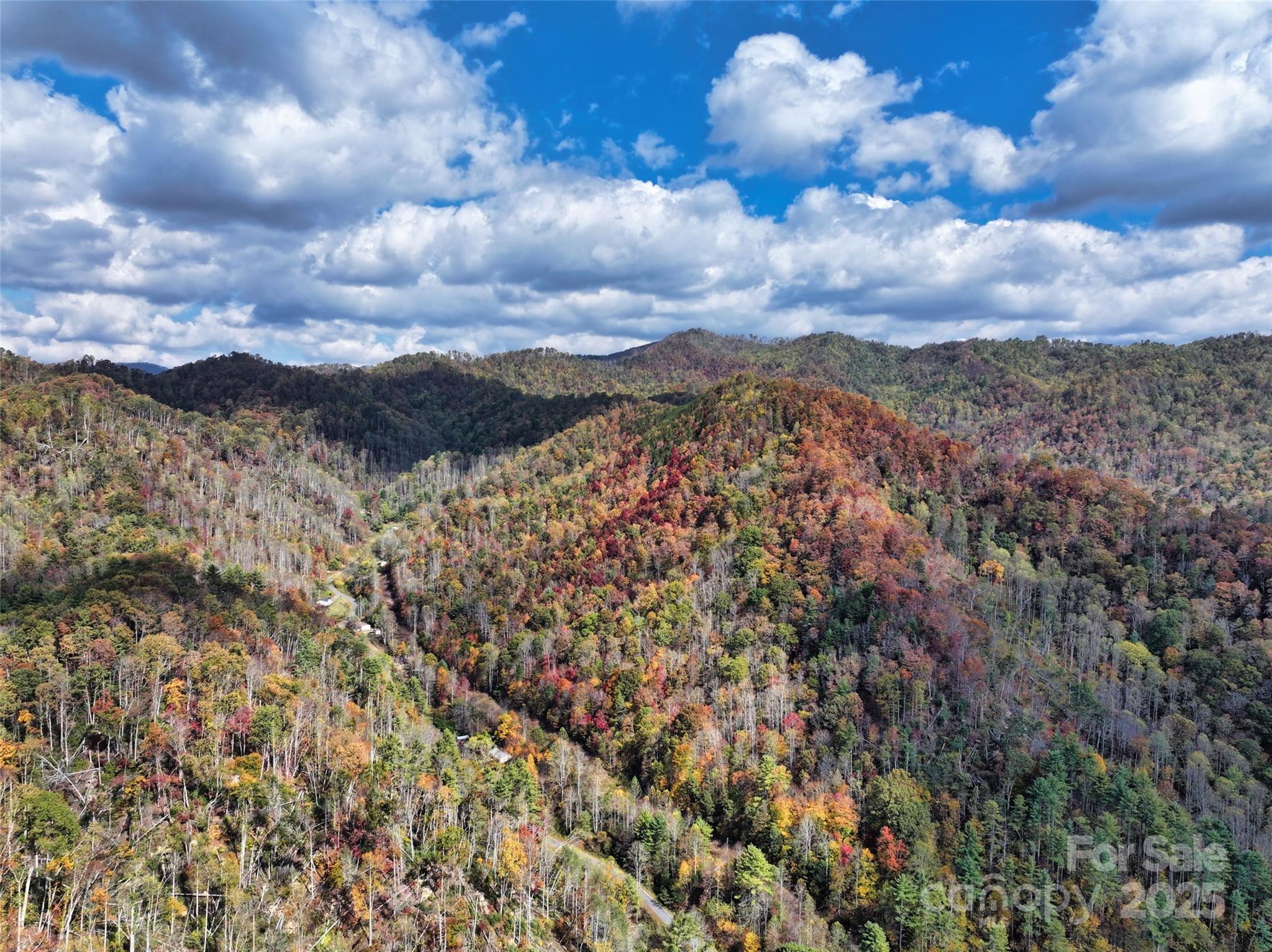 366 Renfro Road Property Photo 5