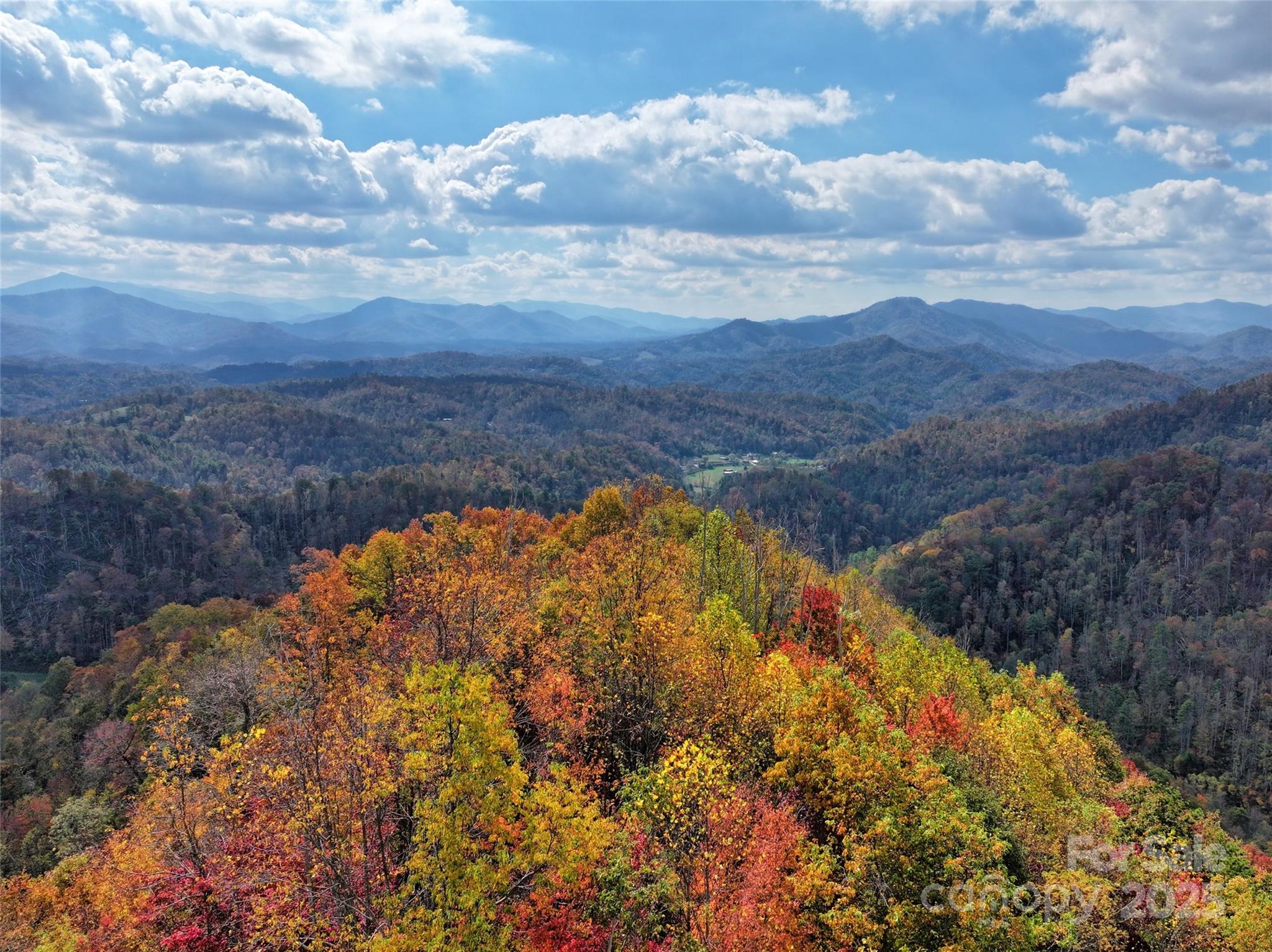 366 Renfro Road Property Photo 6