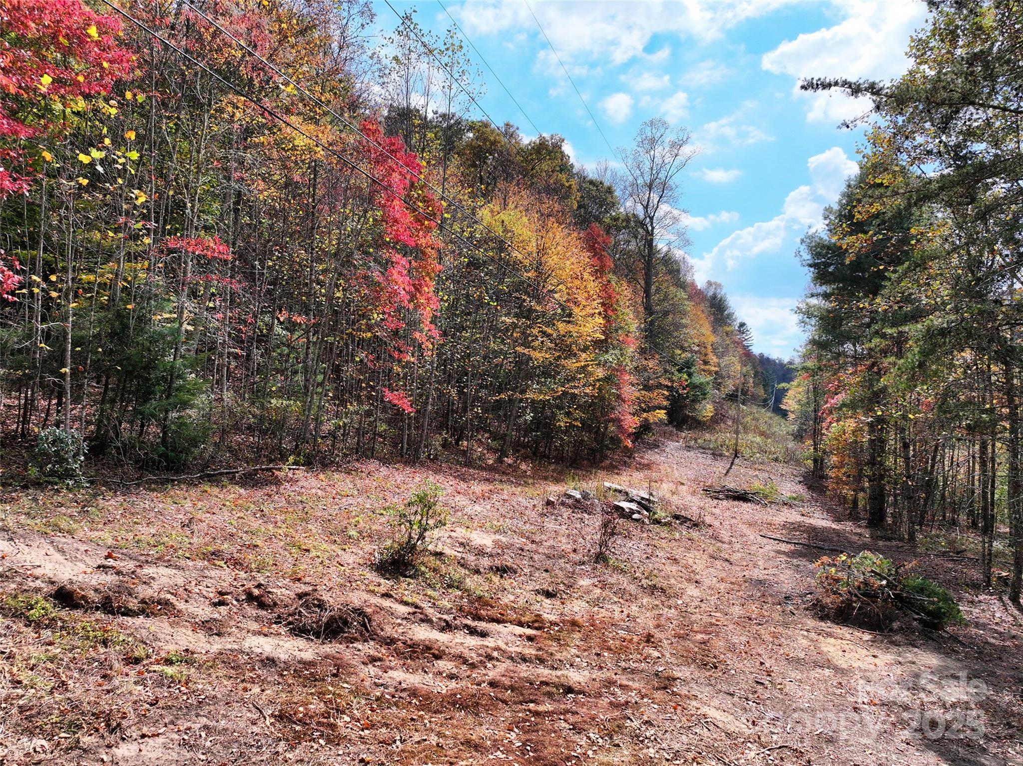 366 Renfro Road Property Photo 10