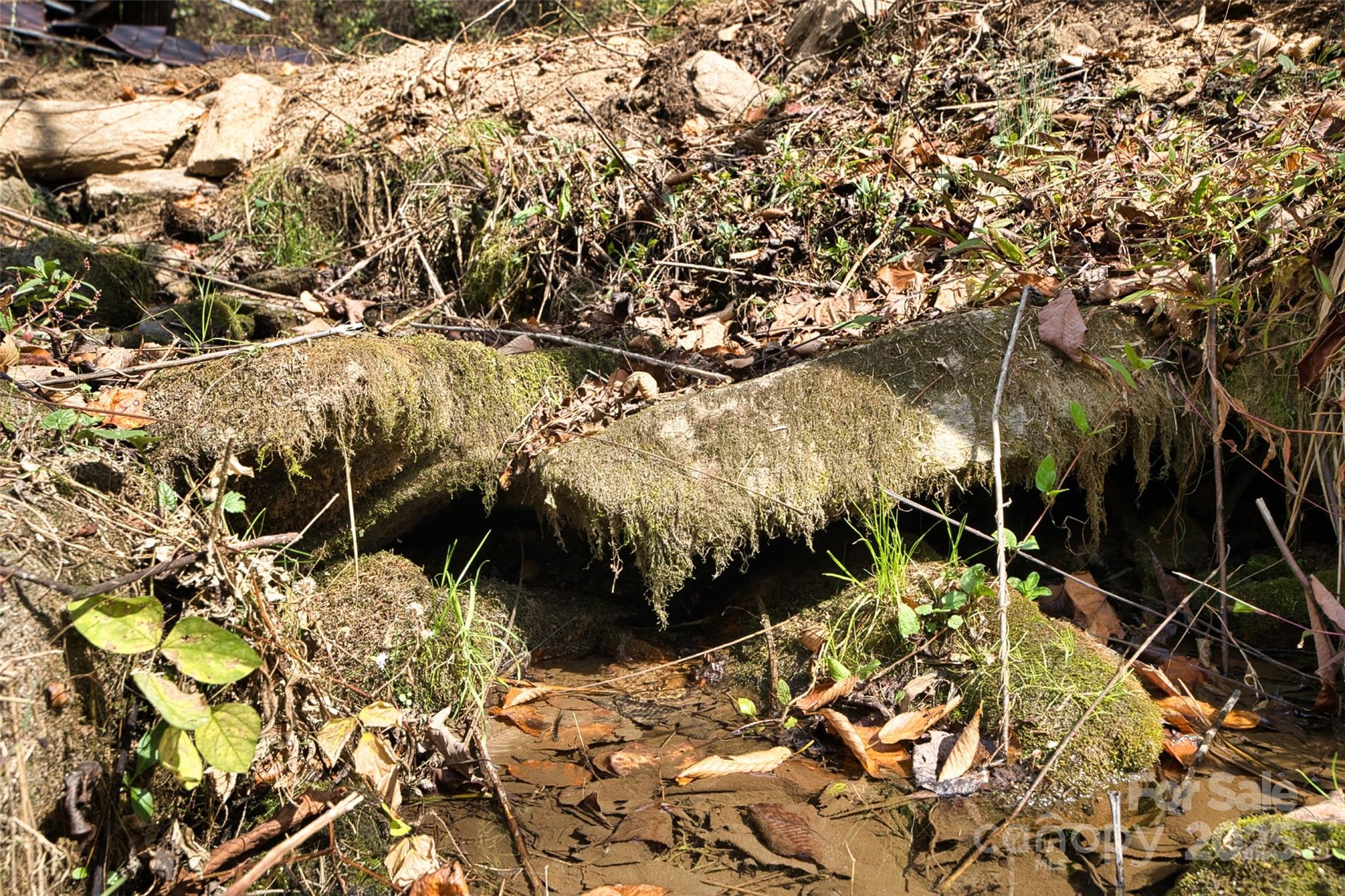 366 Renfro Road Property Photo 13