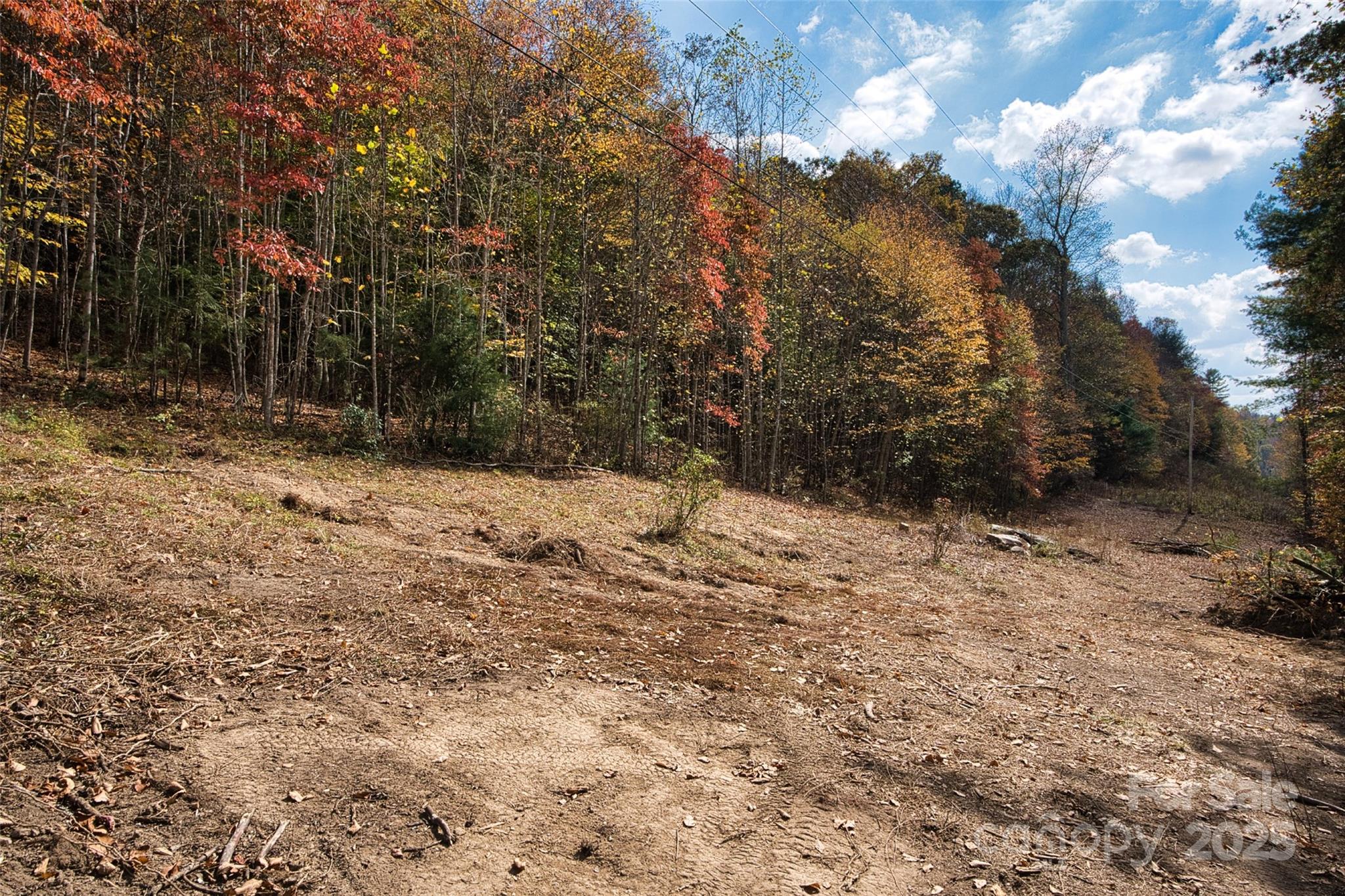 366 Renfro Road Property Photo 14