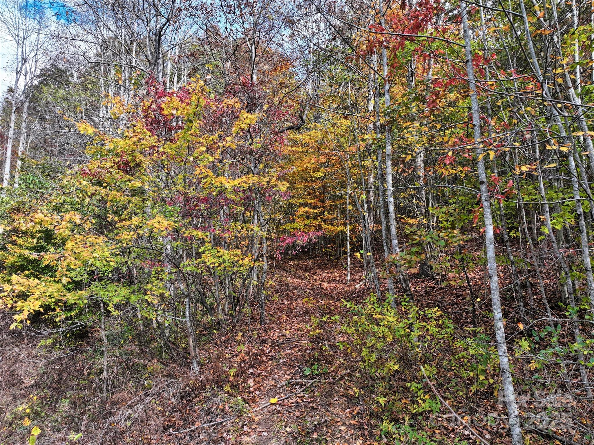 366 Renfro Road Property Photo 16