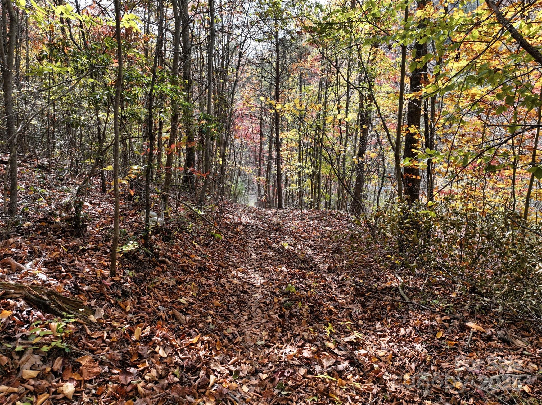 366 Renfro Road Property Photo 17