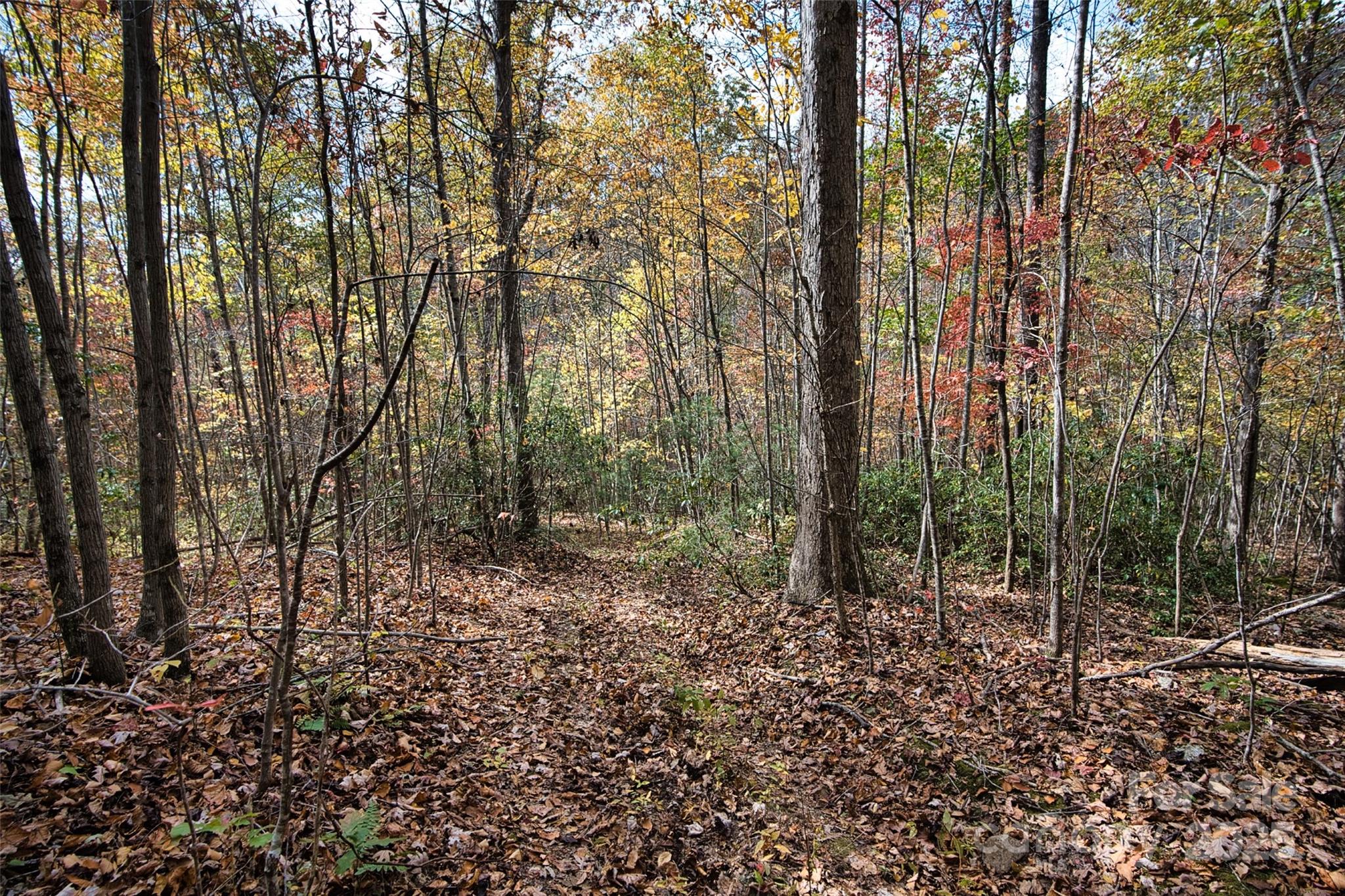 366 Renfro Road Property Photo 18