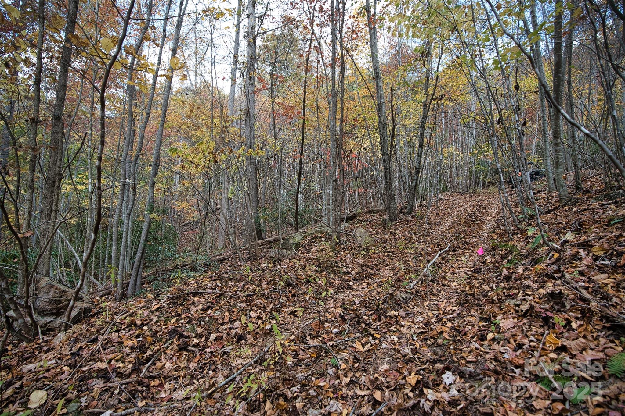 366 Renfro Road Property Photo 19