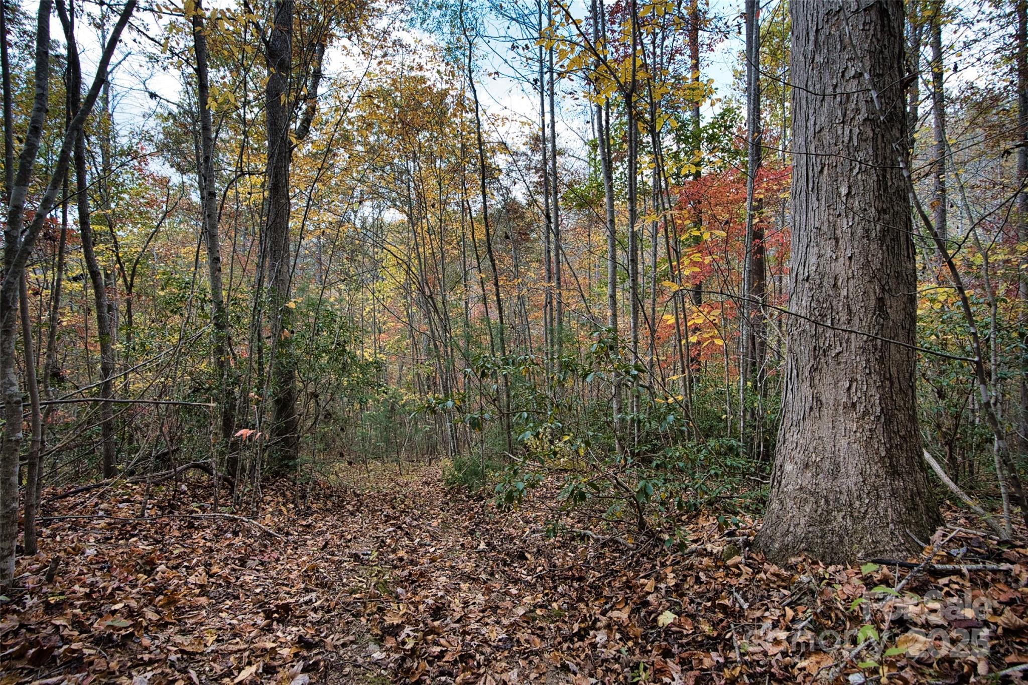 366 Renfro Road Property Photo 20