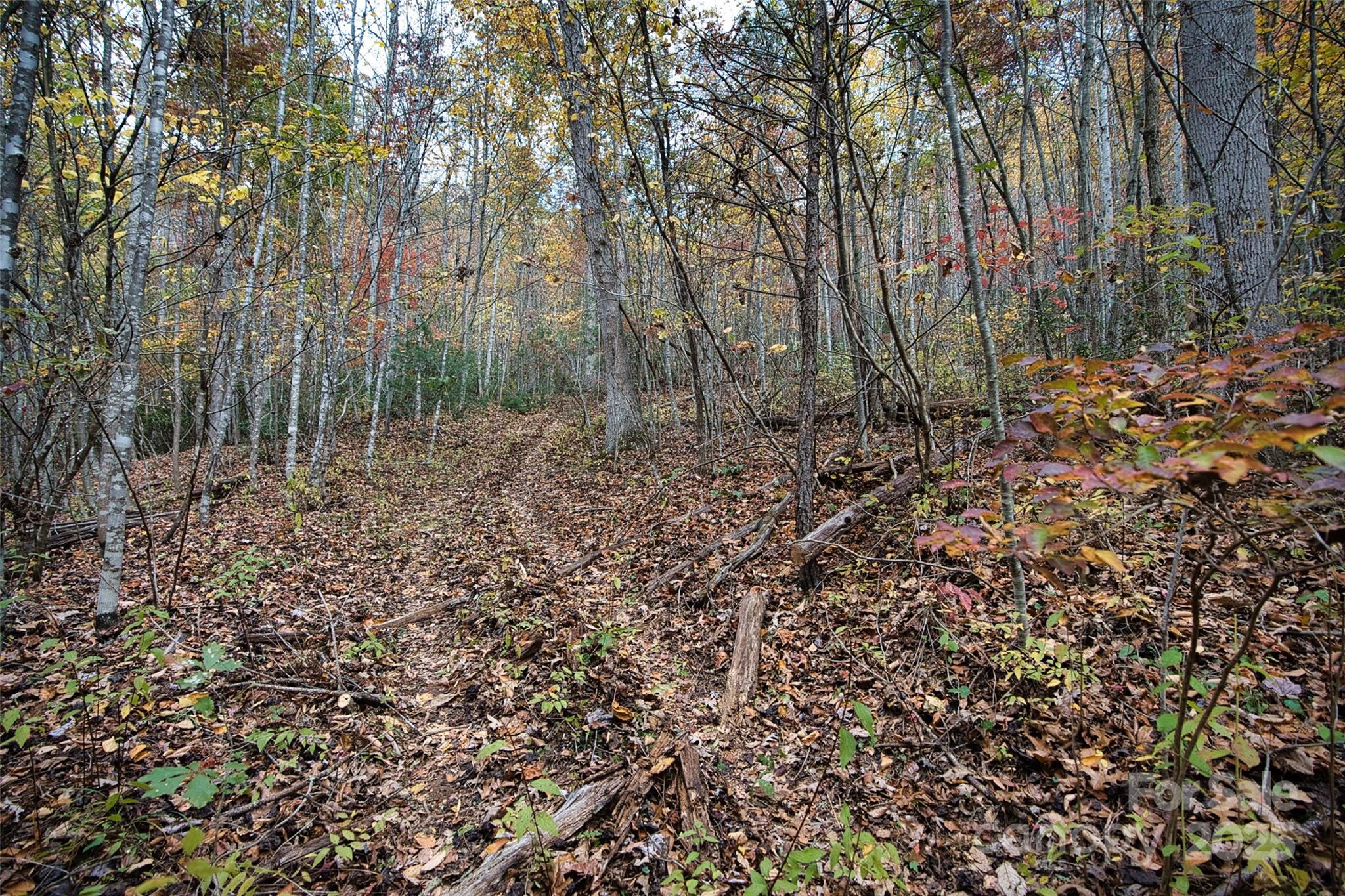 366 Renfro Road Property Photo 21