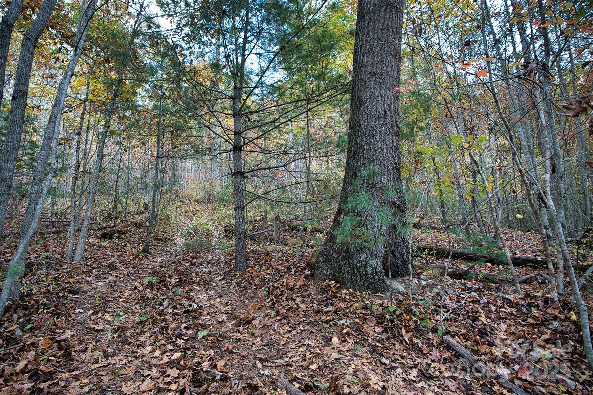 366 Renfro Road Property Photo 22