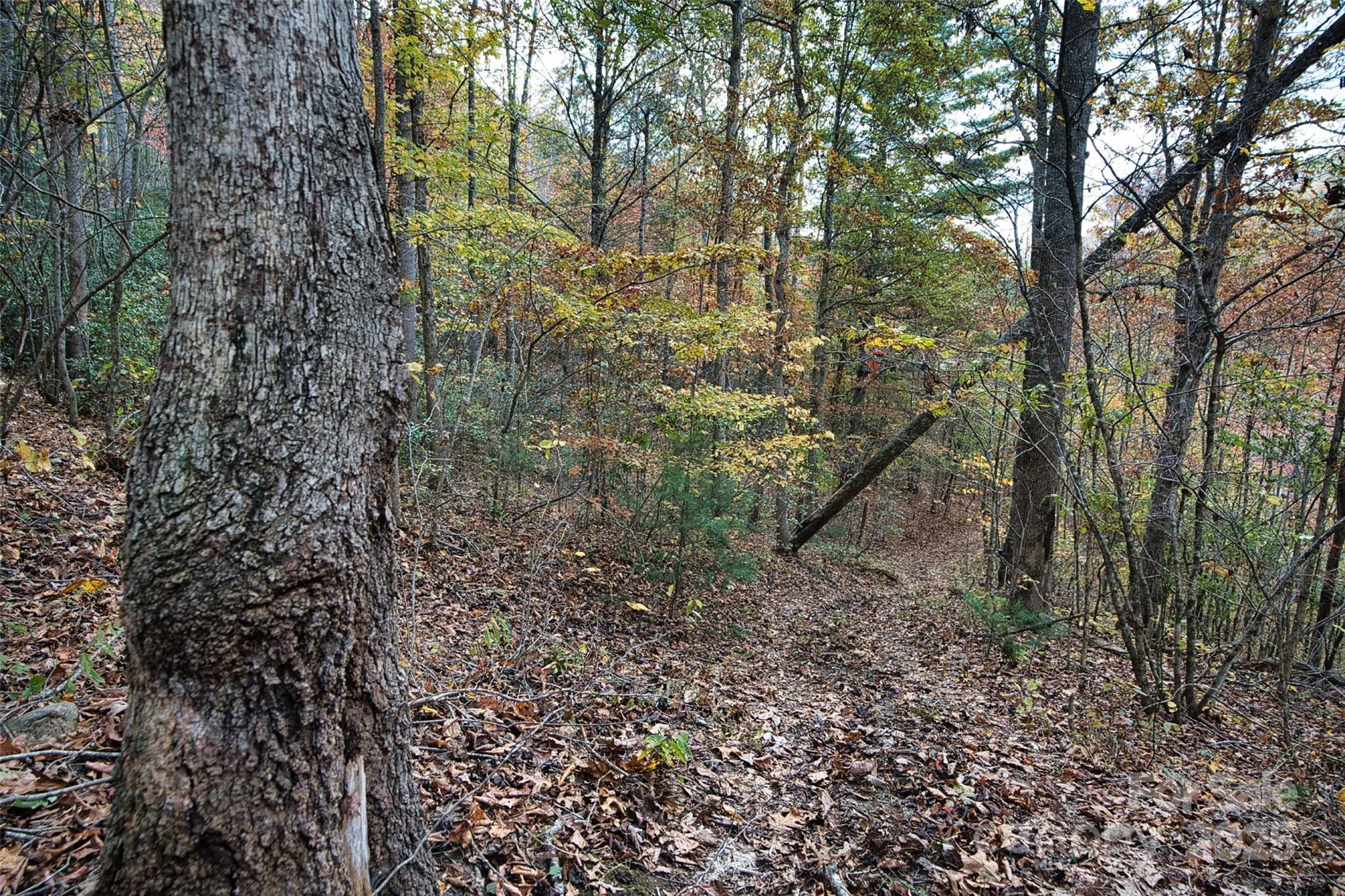 366 Renfro Road Property Photo 24