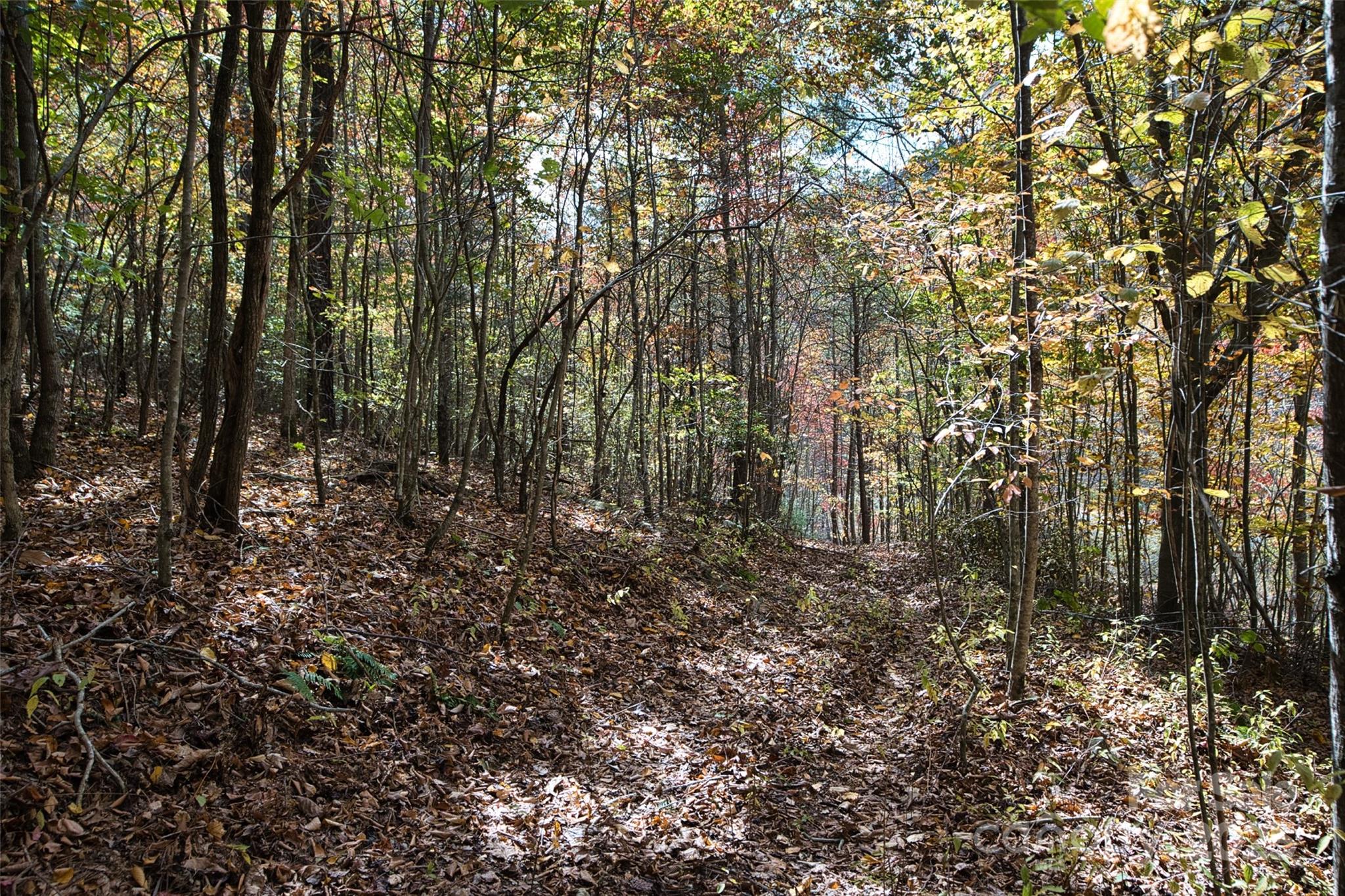 366 Renfro Road Property Photo 25