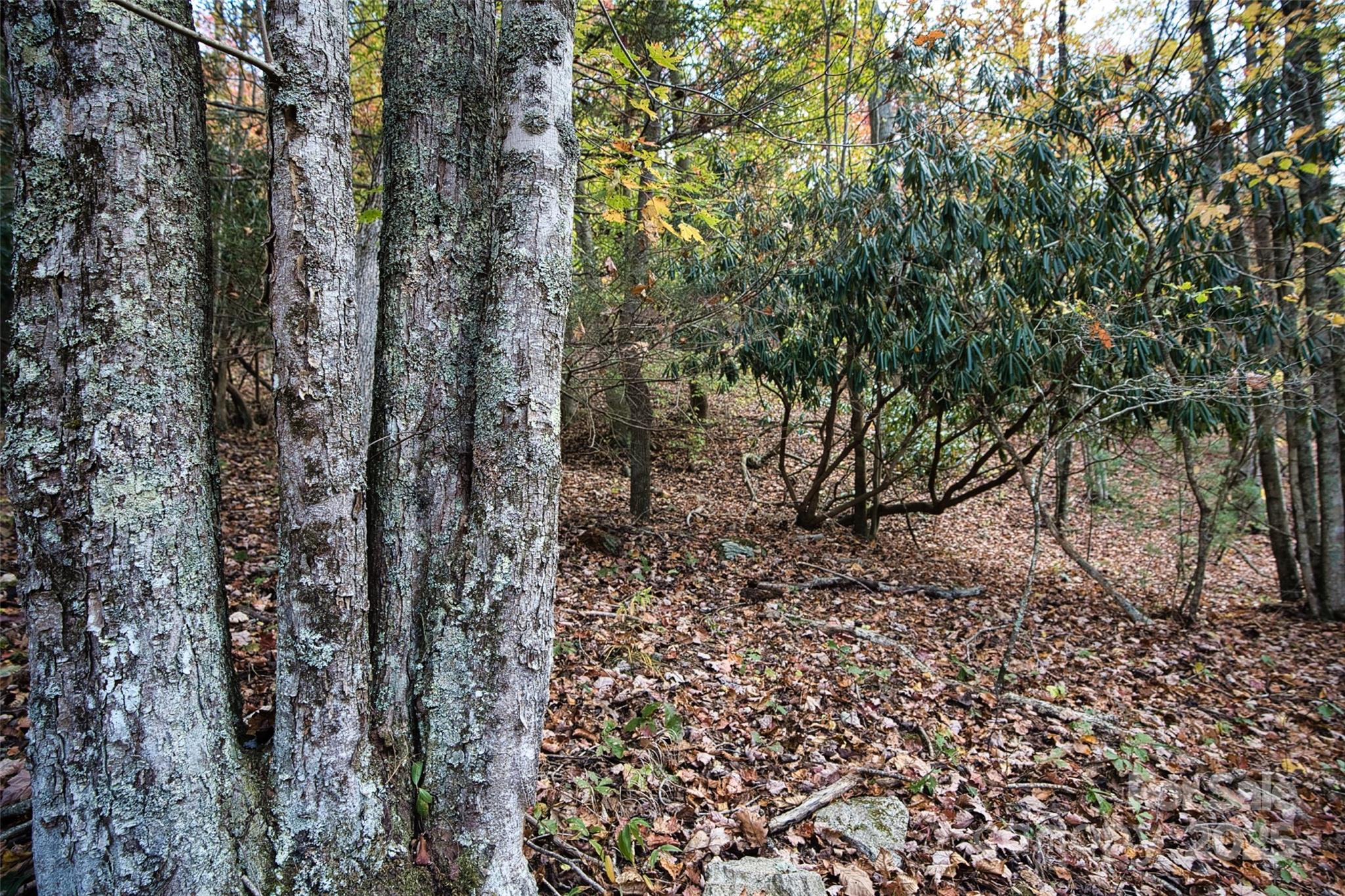 366 Renfro Road Property Photo 26