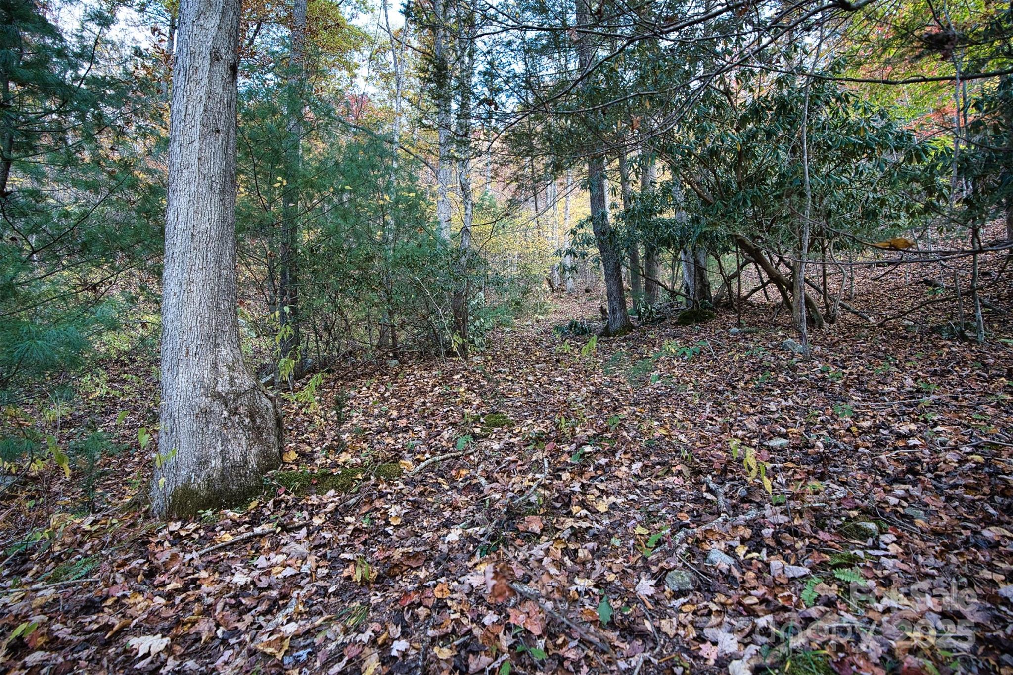 366 Renfro Road Property Photo 27