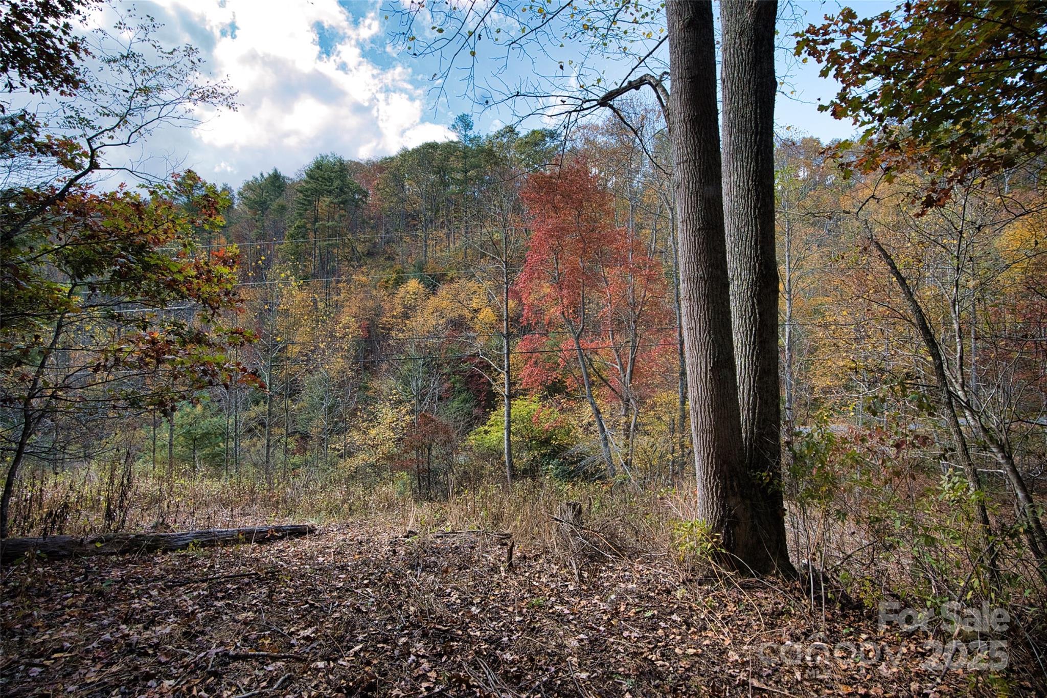 366 Renfro Road Property Photo 28