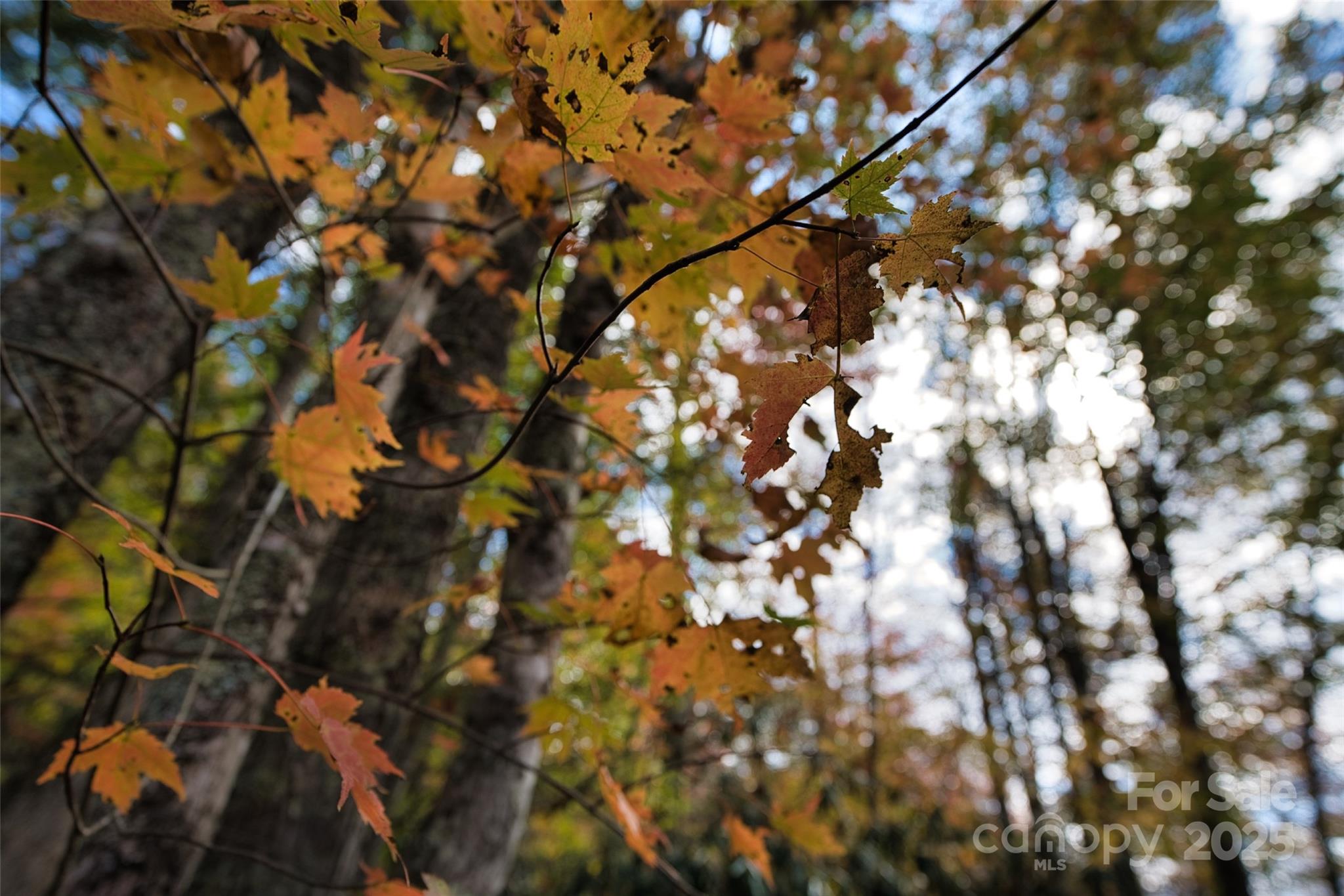 366 Renfro Road Property Photo 30